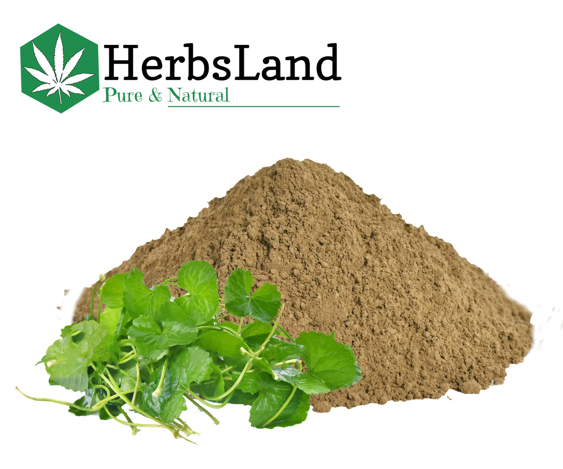 HerbsLand® Pure Bio Organic Amla Reetha Shikakai Brahmi Leaf Powder - Natural Hair Growth & Anti-Dandruff Treatment | Face & Skin Care | Chemical-Free Shampoo Alternative (90g x 4 Pack) | Perfect for Ayurvedic Hair Masks, Scalp Treatments & Holistic Beauty Routines