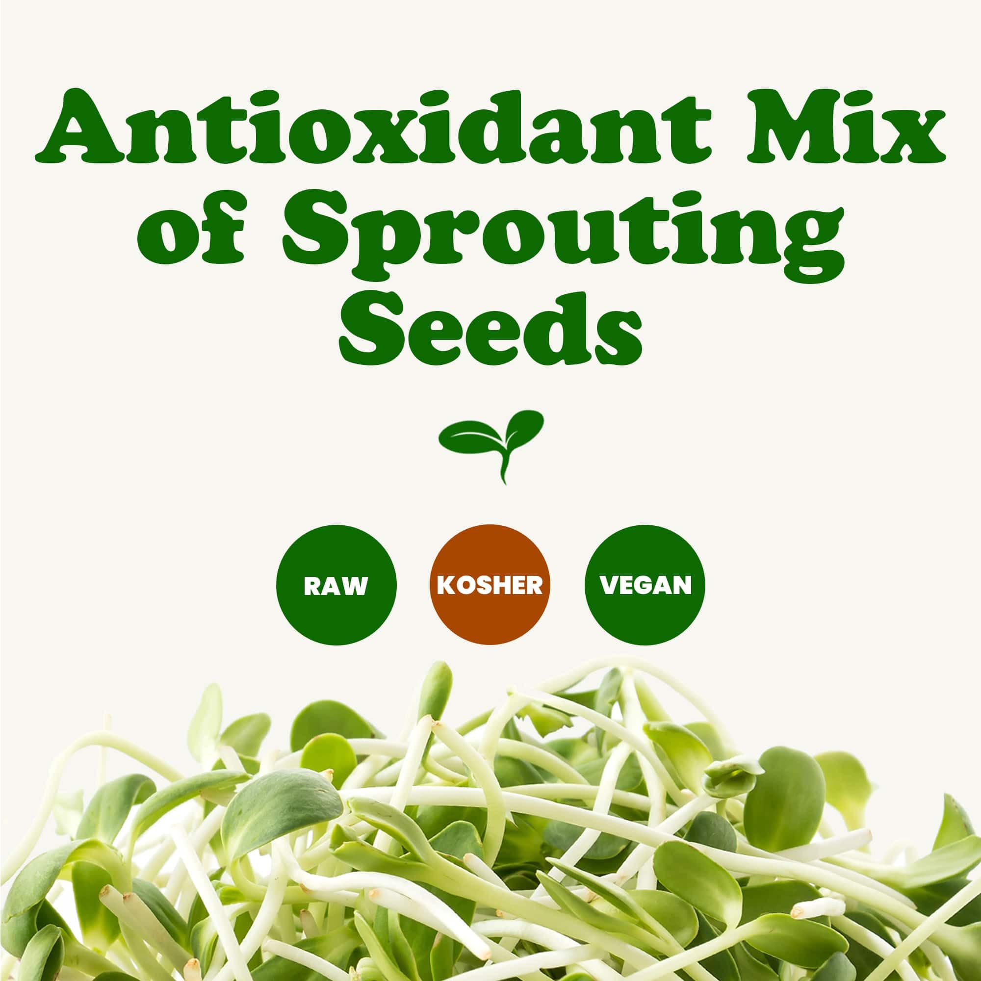 Food to Live - 10lb Organic Antioxidant Sprouting Seed Mix (Broccoli, Clover, Alfalfa) | Kosher, Raw, Vegan | Perfect for Salads, Smoothies & Healthy Snacks