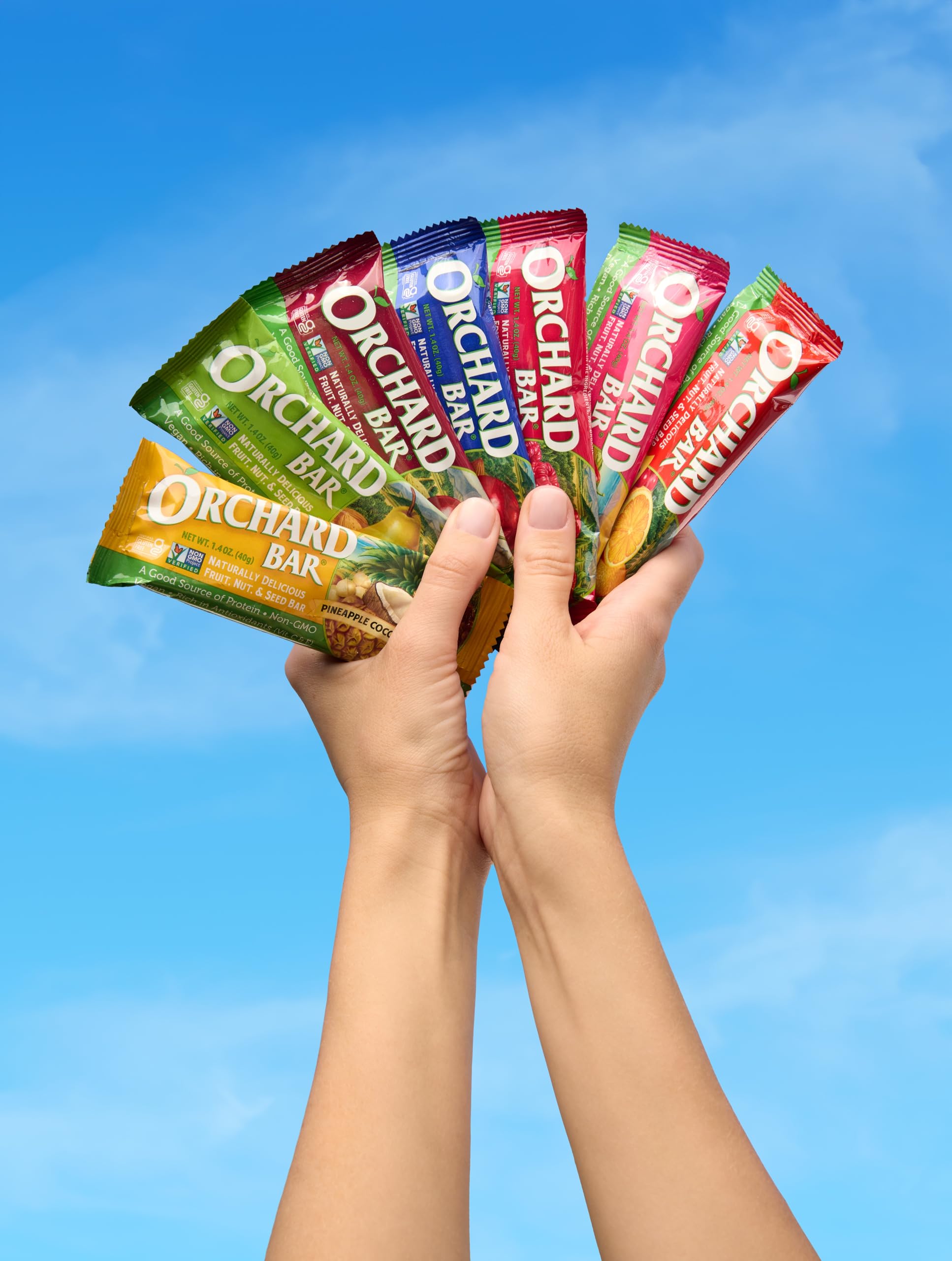 Organic Cherry Almond Fruit & Nut Bars - Non-GMO, Gluten-Free, 1.4oz (Pack of 12) | Healthy Snacks for Hiking, Travel & On-the-Go Energy