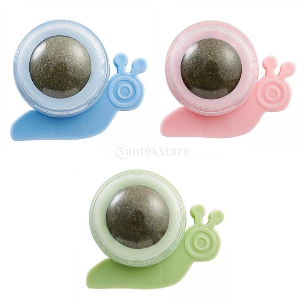 Premium Catnip Ball Toy for Cats - Dental Chew Toy with Lid for Easy Cleaning | Interactive Play & Teeth Cleaning for Indoor Cats