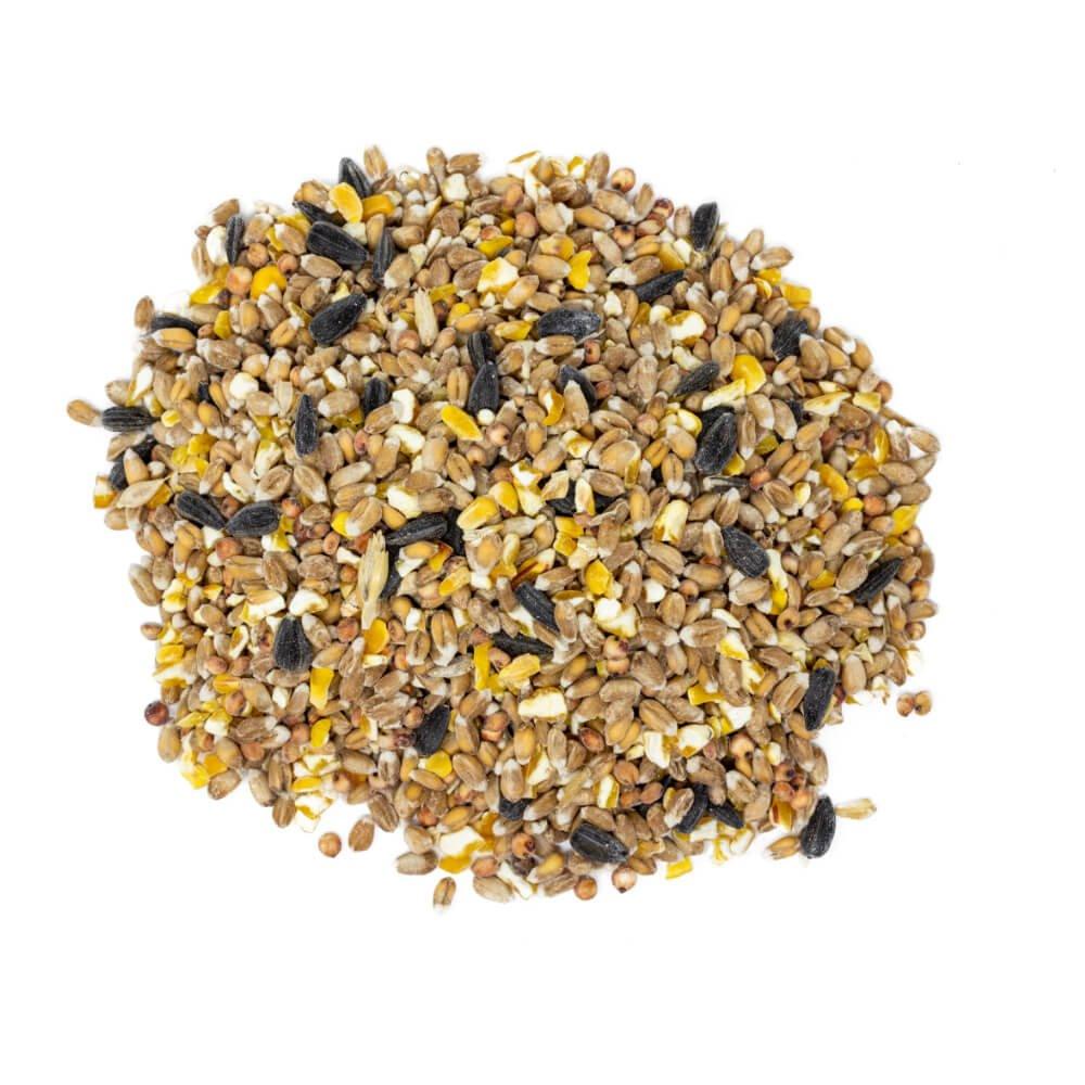 Premium Four Seasons Wild Bird Seed Mix - 12.55kg (27.7 lbs) High Energy Bird Food for Year-Round Feeding | Attracts Cardinals, Finches & Songbirds | Ideal for Backyard Feeders, Gardens & Wildlife Habitats