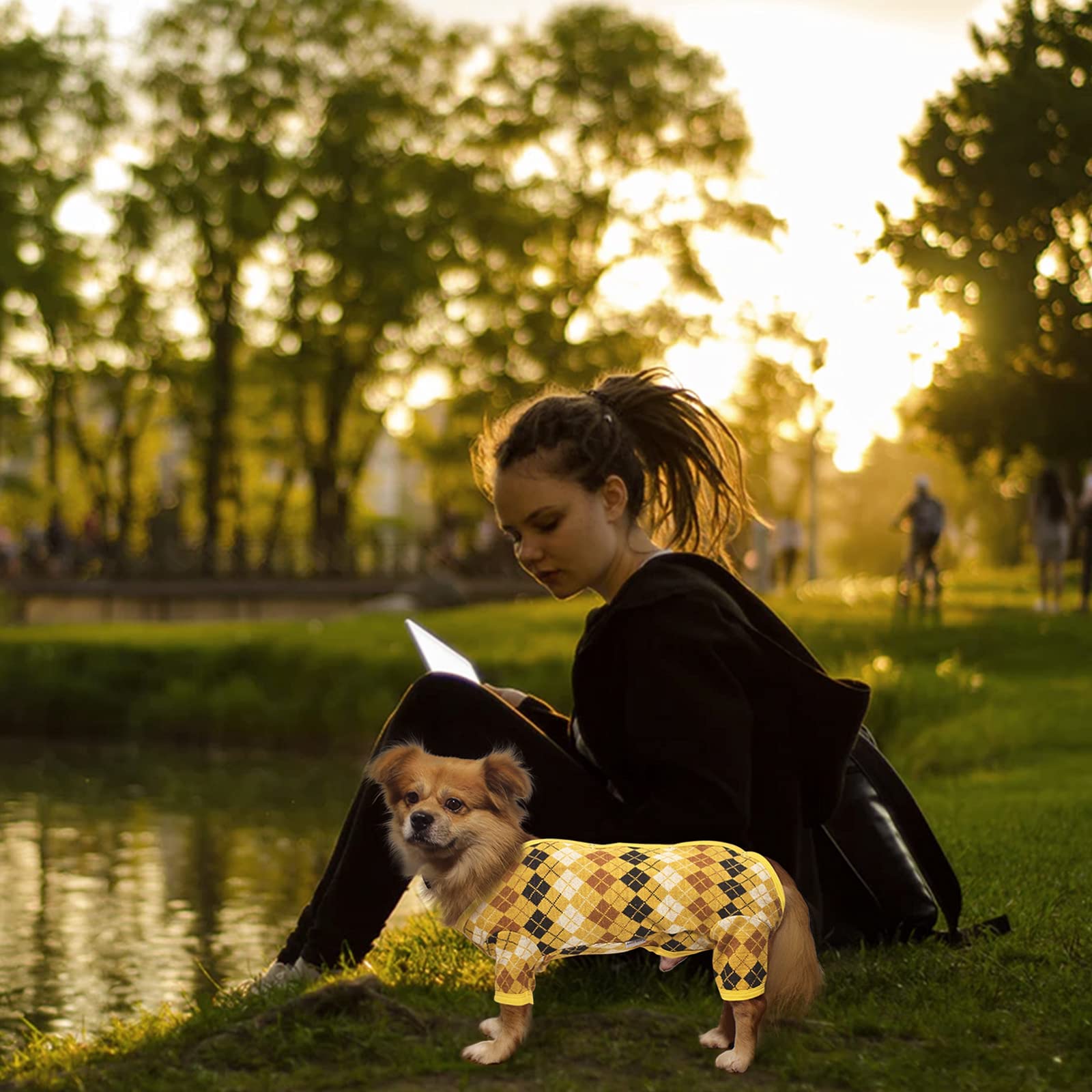 TONY HOBY Knitted Dog Sweater - Warm Winter Dog Clothes for Small & Medium Dogs - Cozy Christmas & New Year Outfit for Puppies (Yellow, Boy, Size S) - Perfect for Holiday Photos & Indoor/Outdoor Activities
