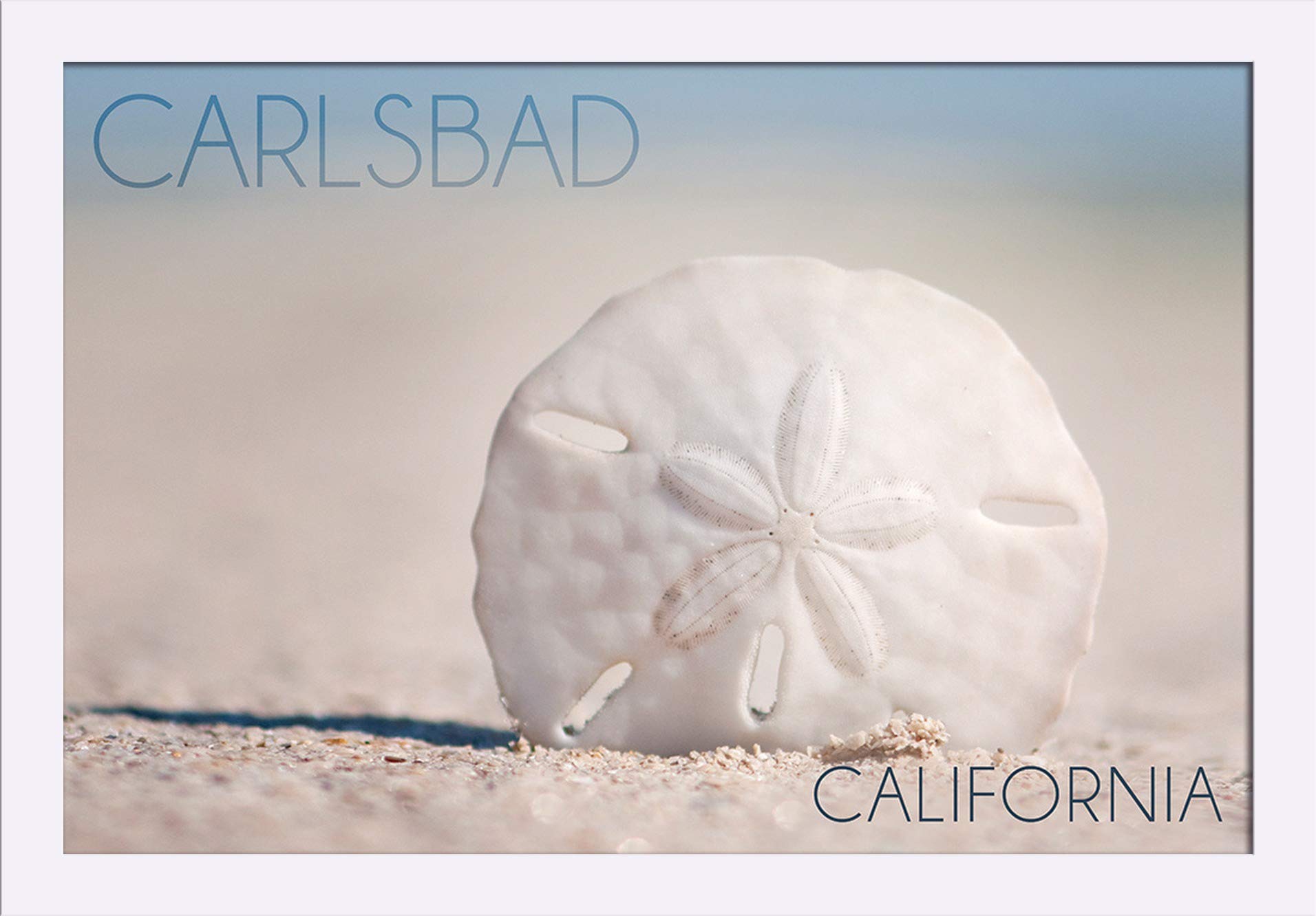 Carlsbad California Sand Dollar Beach Art Print - 16x24 Giclee Fine Art on Recycled Wood Frame in White - Perfect for Coastal Home Decor & Beach House Wall Art