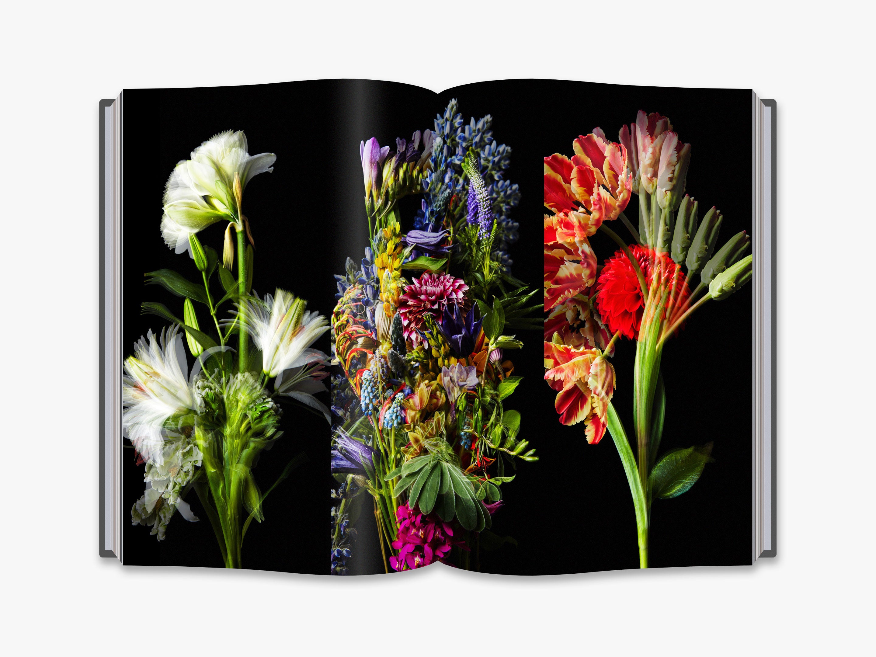 Makoto Azuma Flower Art - Unique Botanical Sculptures & Floral Arrangements for Home Decor, Wedding Centerpieces & Modern Art Displays