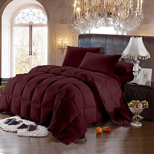 Burgundy(striped)