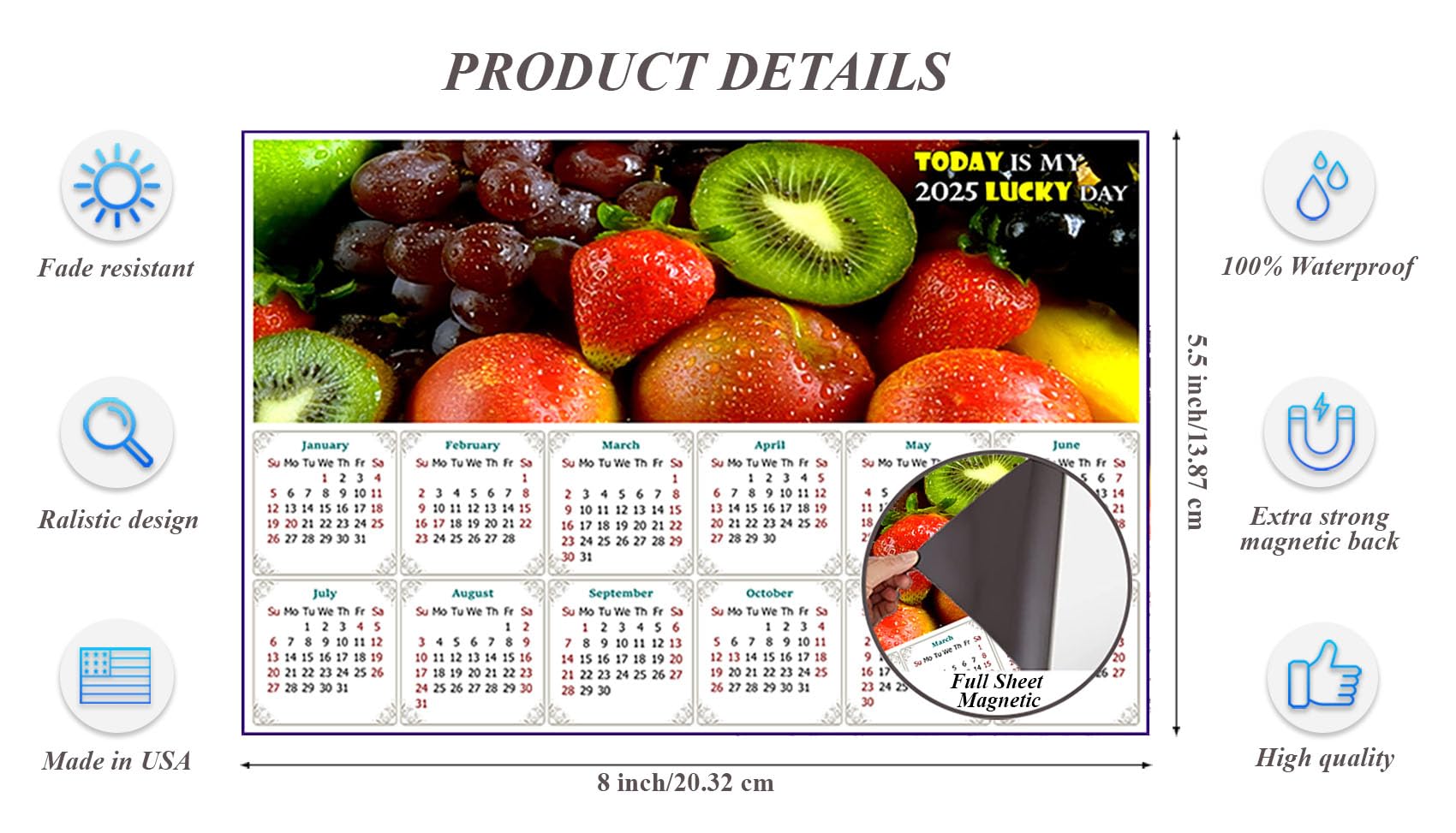 2025 Magnetic Calendar - Durable Fade, Tear & Water Resistant Calendar Magnets - 
