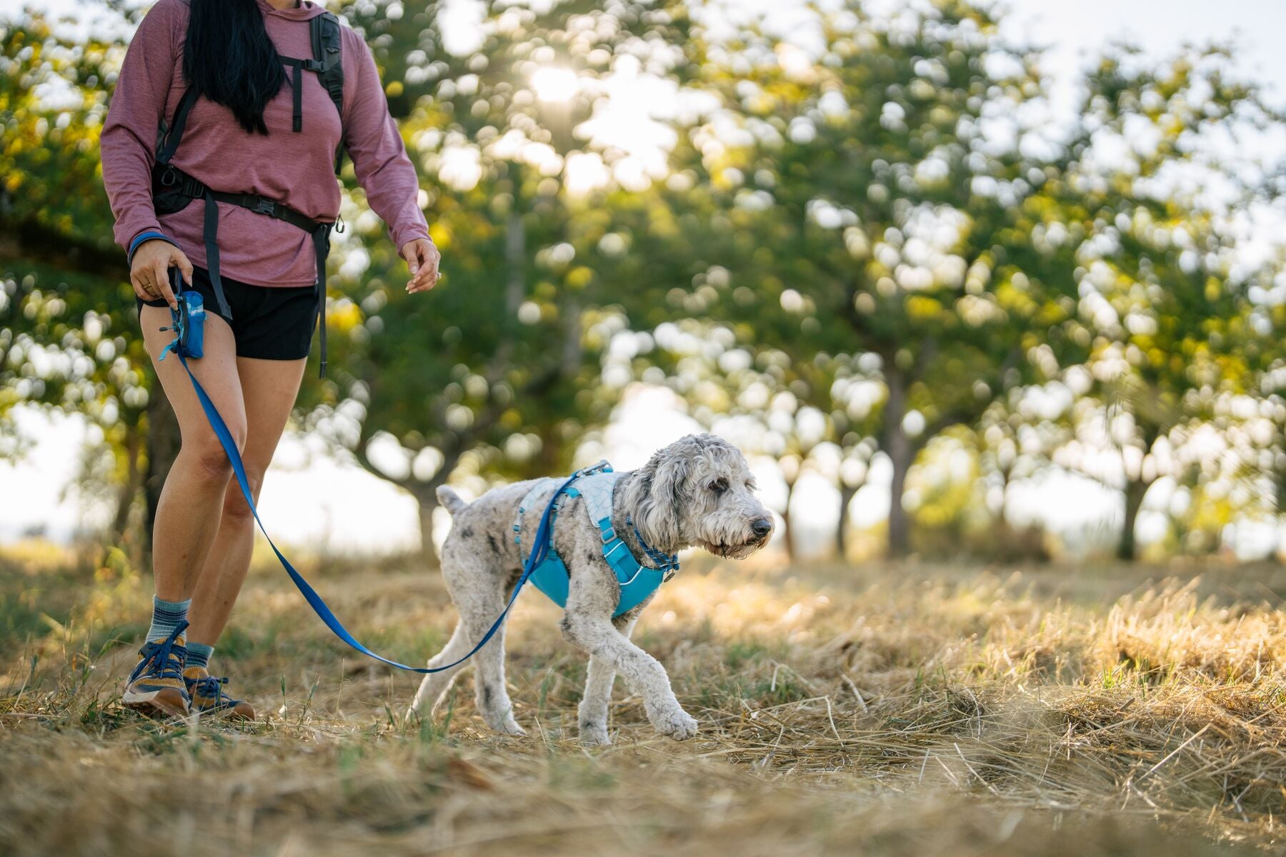 Ruffwear Stash Bag Mini™ - Compact Poop Bag Dispenser for Dogs | Waterproof & Odor-Proof | Perfect for Hiking, Camping & Outdoor Adventures with Your Pet