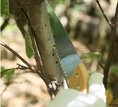 Best Hand Pruning Saw for Gardening & Camping - Heavy Duty Wood Cutting Tool for Tree Branches, Yard Work & Outdoor Survival | Perfect for Landscaping, DIY Projects & Bushcraft