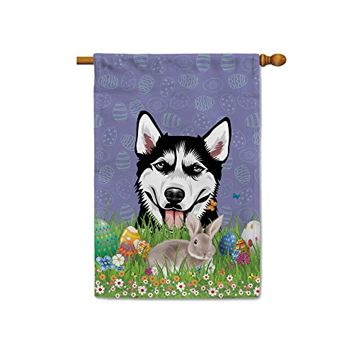 Husky 2