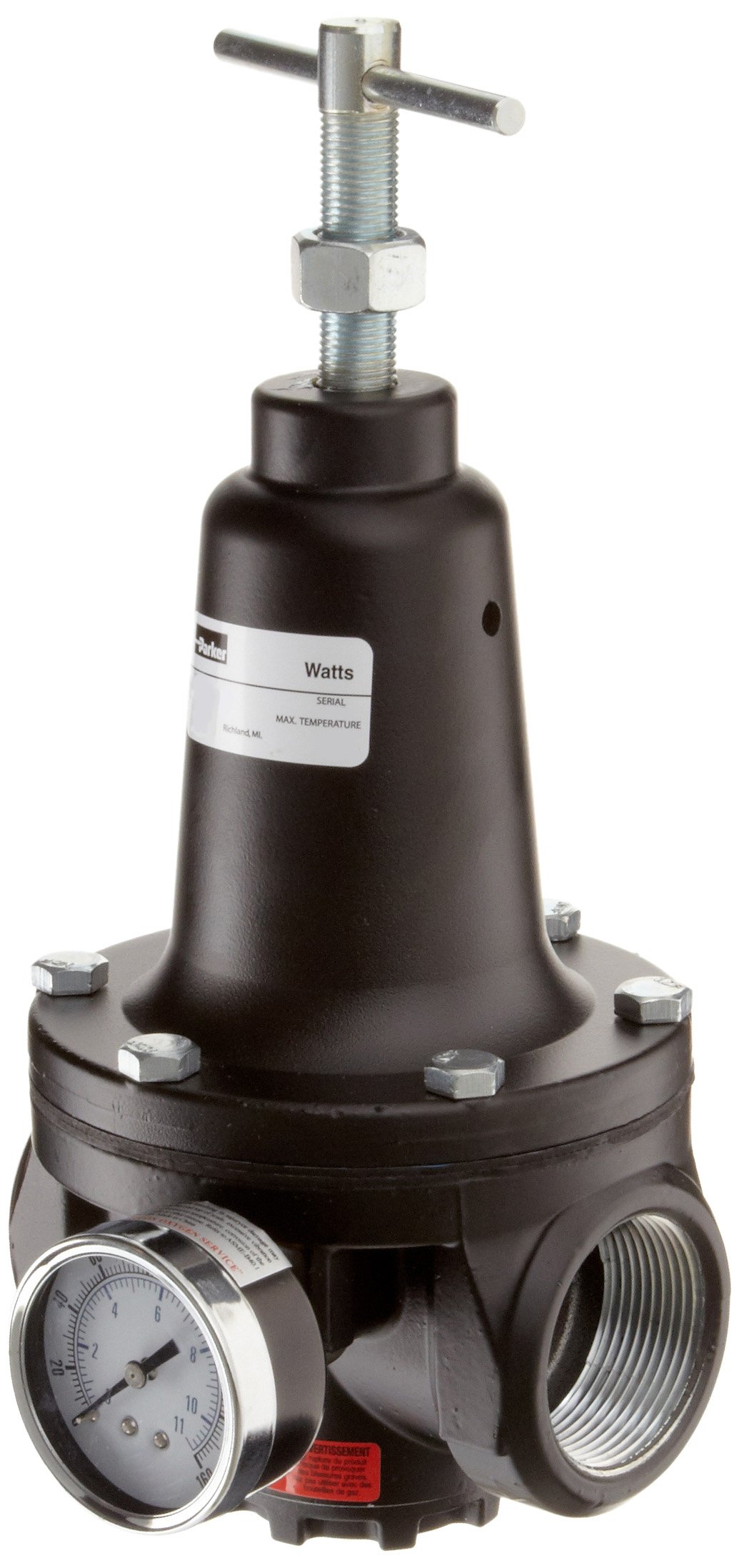 Parker R119-06CG Air Pressure Regulator, 0-125 psi Range, 3/4