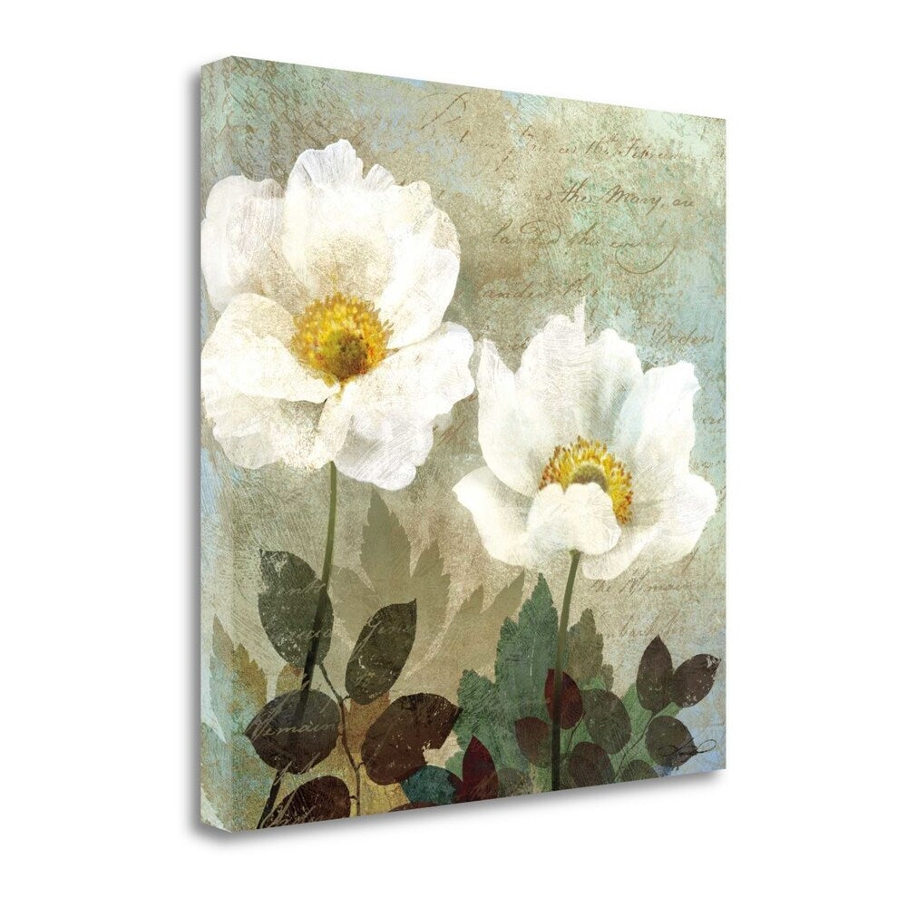 Anemone II By Keith Mallett - Fine Art Giclee Print on Gallery Wrap Canvas - Ready to Hang Wall Decor - Perfect for Living Room, Bedroom & Office Decor