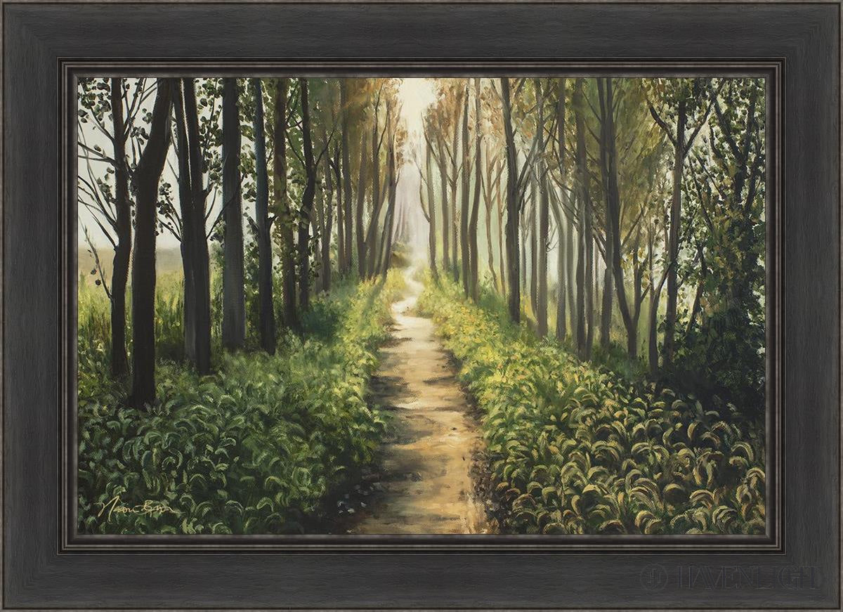 Forest Walkway - Beautiful Wooden Pathway for Gardens, Parks & Trails | Perfect for Outdoor Decor & Nature Walks
