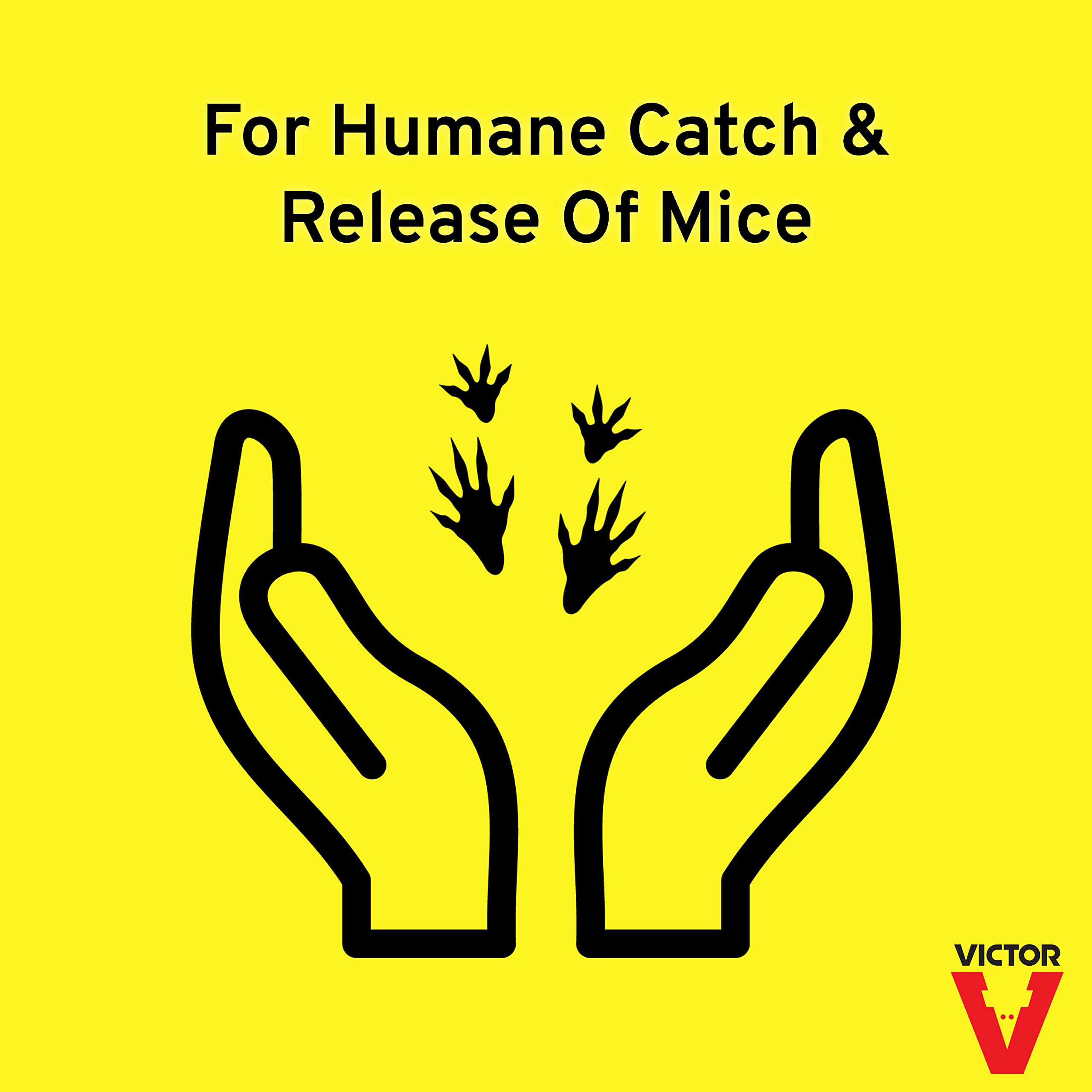 Victor M308 TIN CAT Clear Top Mouse & Rat Trap - Humane Live Catch Reusable Rodent Trap (Pack of 12, Silver) - Ideal for Home, Garage, Basement & Outdoor Pest Control