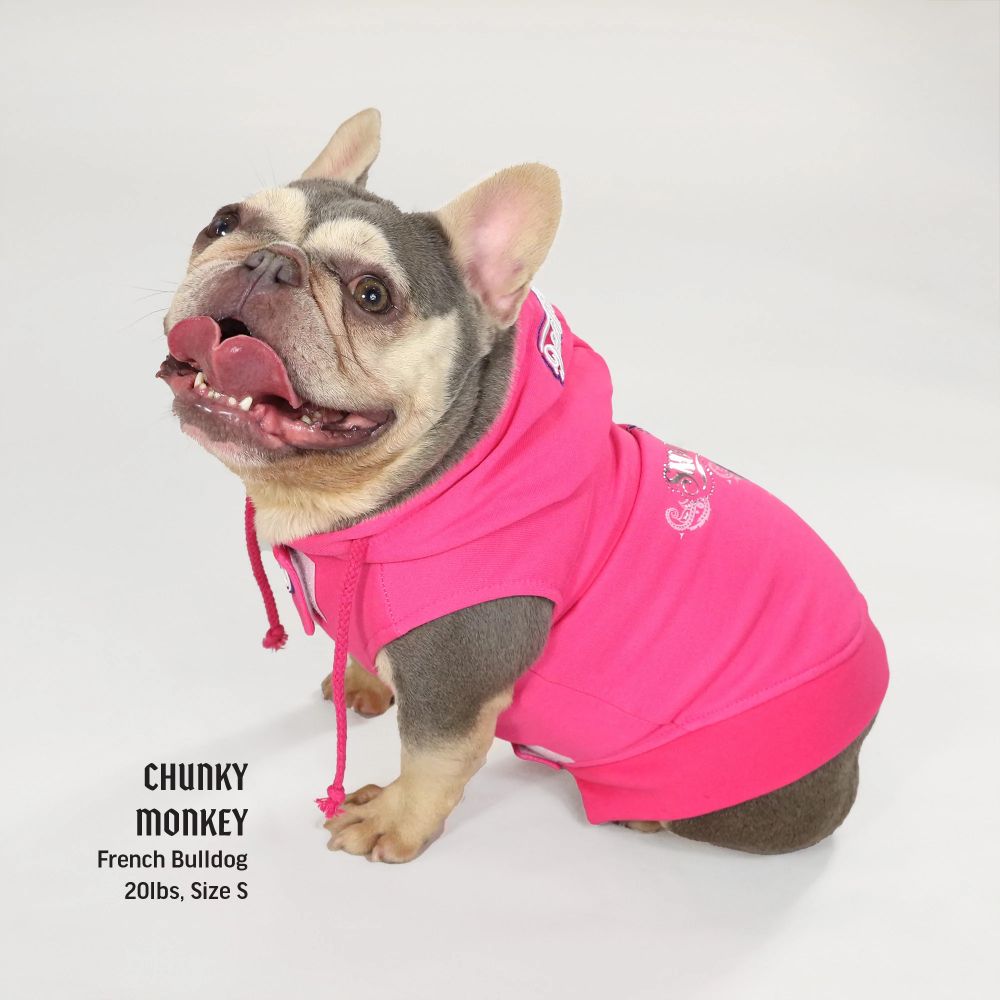 Deluxe Pet Hoodie for Dogs - Boss Lady Style - Cozy & Stylish Winter Outfit for Small to Medium Dogs - Perfect for Outdoor Walks & Photo Shoots