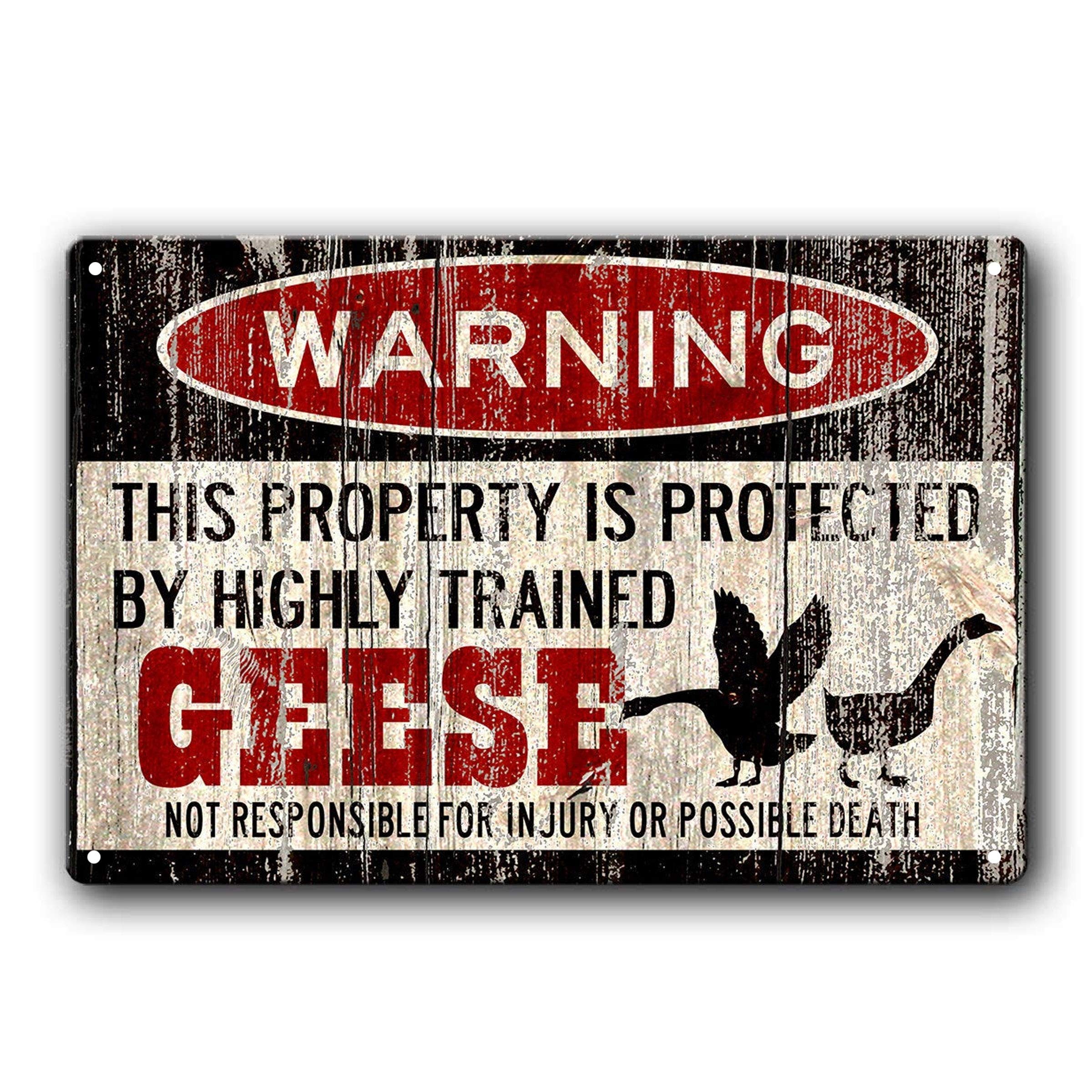 Funny Geese Warning Sign - Vintage Style 8x12 Inch Metal Wall Art for Home, Bar, Coffee Shop & Kitchen Decor - Indoor/Outdoor Durable Iron Painting - Perfect for Farmhouse, Man Cave or Pub Wall Decoration