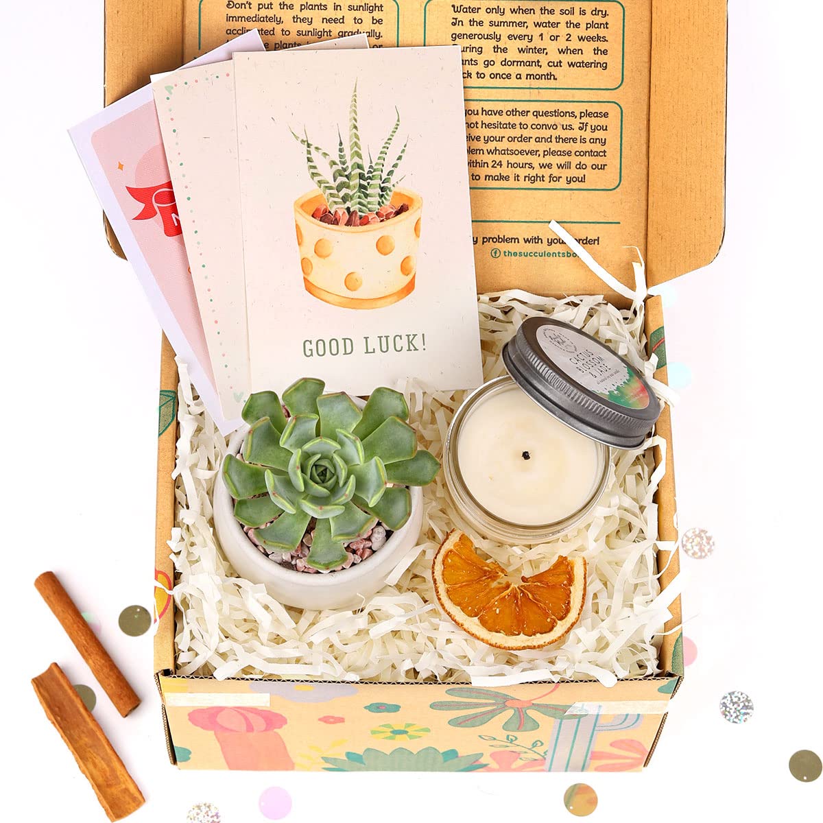 Succulent & Soy Candle Gift Box Set - Perfect Holiday Present for Him/Her - Includes Live Plant & Aromatherapy Candle with Thank You Card - Great for Birthdays, Anniversaries & Housewarming Gifts