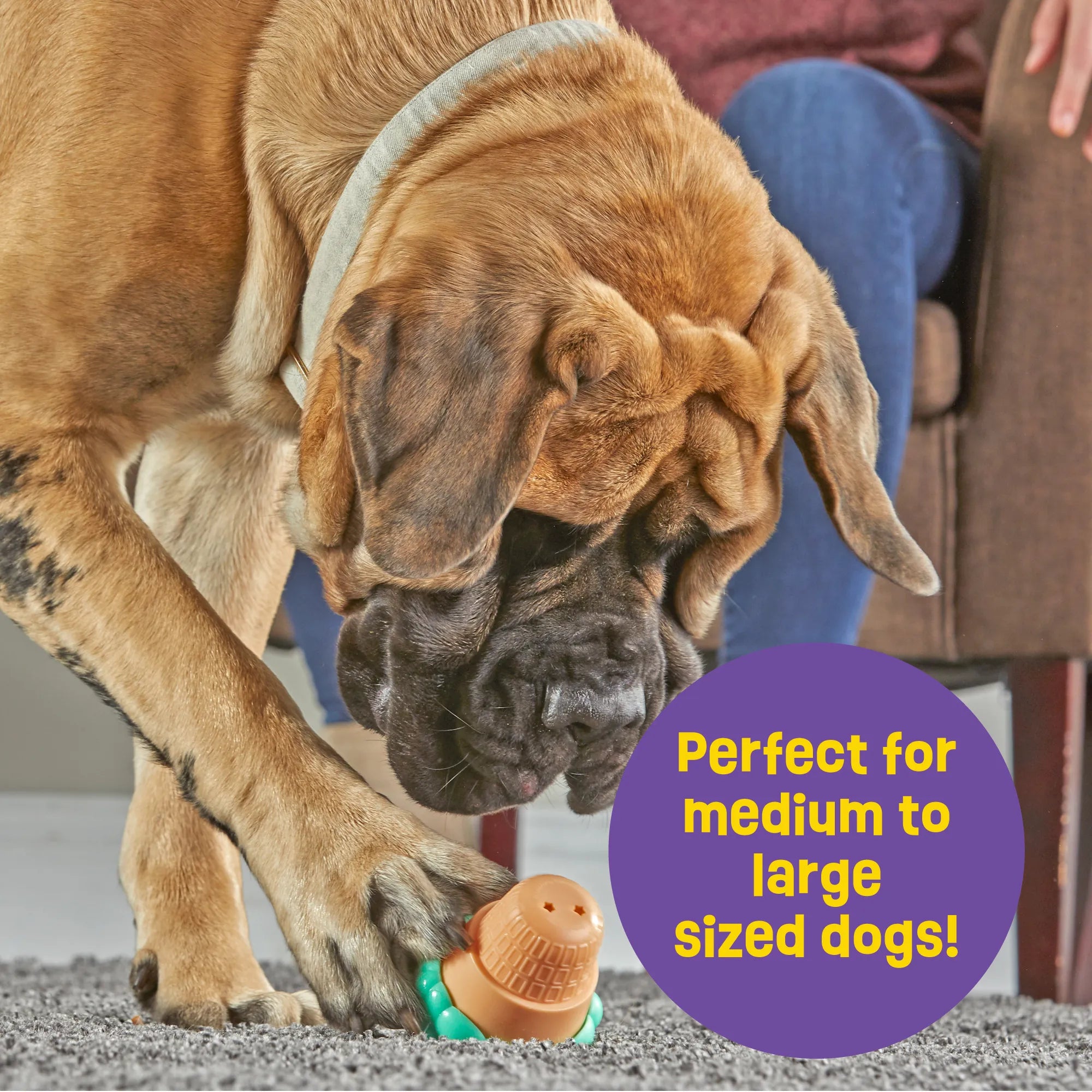 Brightkins Dog Toy Ice Cream Treat Dispenser - Interactive Treat Dispensing Toy for Small & Medium Dogs - Fun Training Reward Toy for Indoor & Outdoor Play
