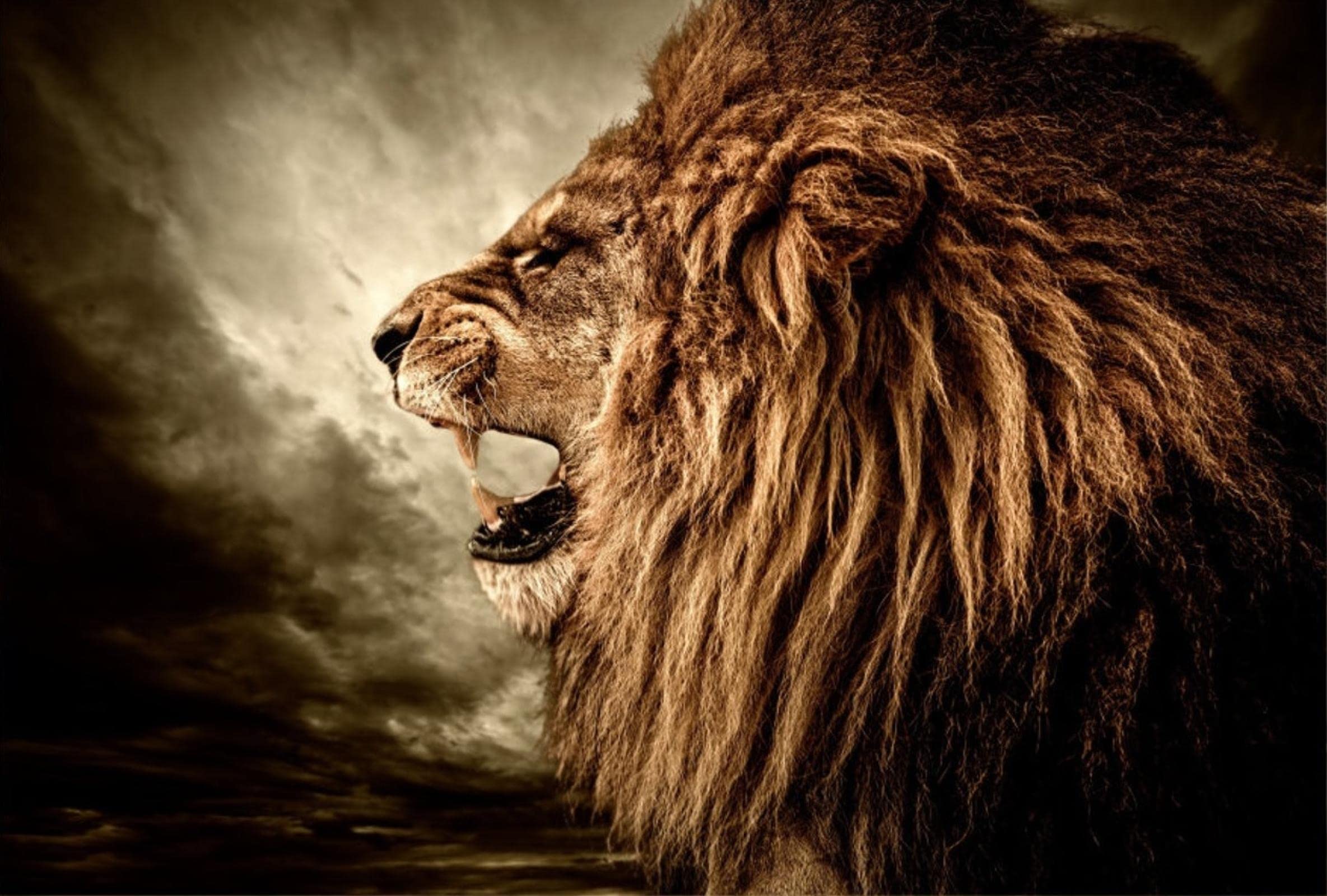 Ferocious Lion Roar Canvas Wall Art - Modern Abstract Animal Painting for Living Room & Bathroom Decor - 50x70cm (20x28in) Unframed - Perfect for Home, Office, or Gift Giving