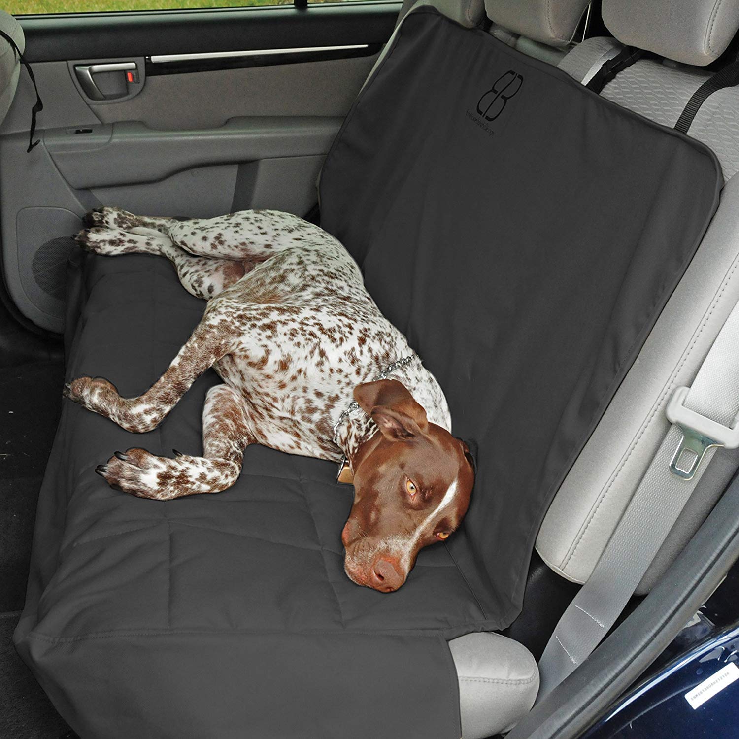 Petego Rear Car Seat Protector for Dogs - Waterproof & Nonslip Pet Car Seat Cover - Universal Fit for Most Vehicles - Perfect for Travel, Road Trips & Daily Commutes