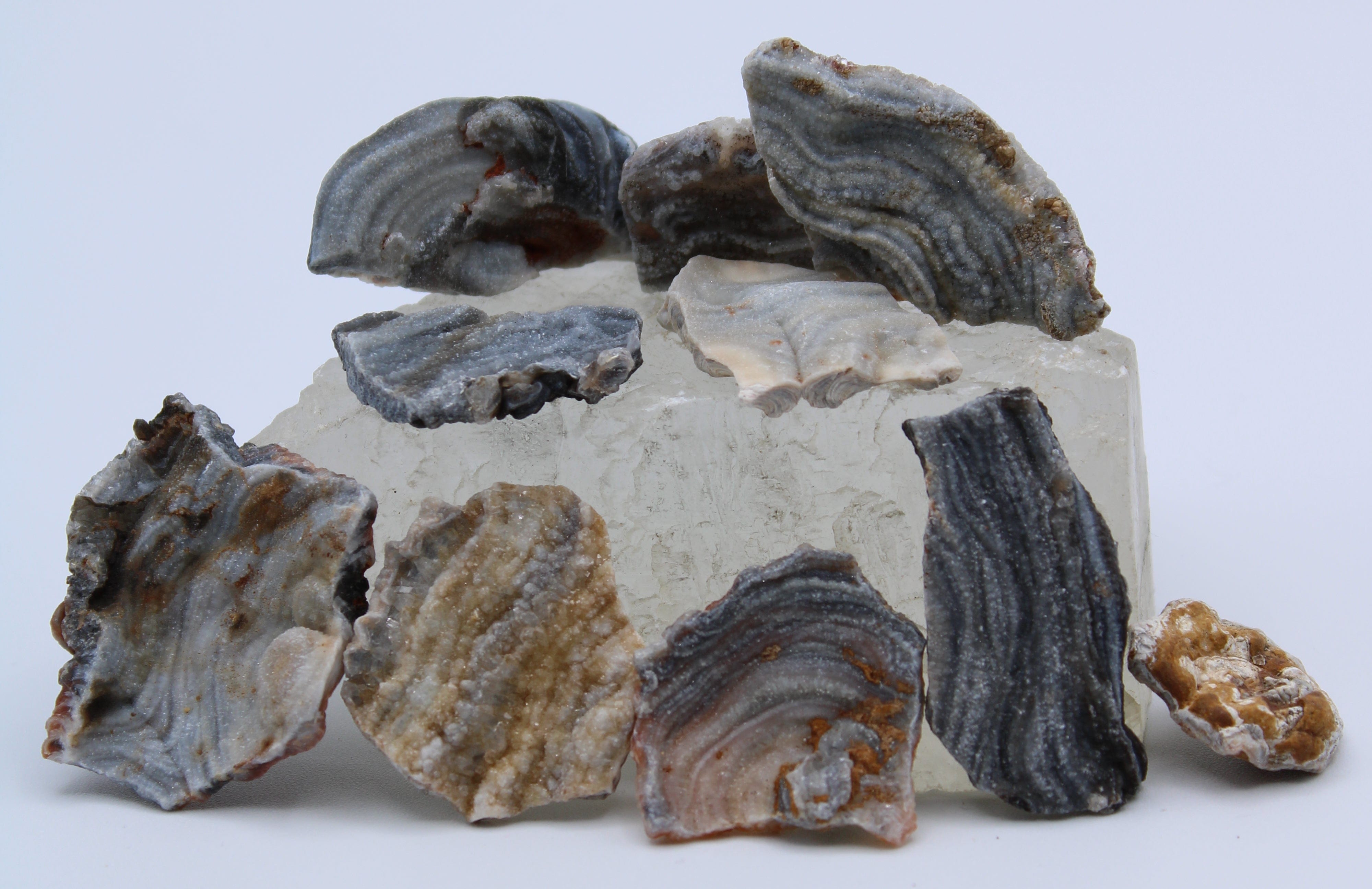10PCS Natural Chalcedony Conchive Specimens - Healing Crystals for Meditation, Home Decor, and Spiritual Gifts