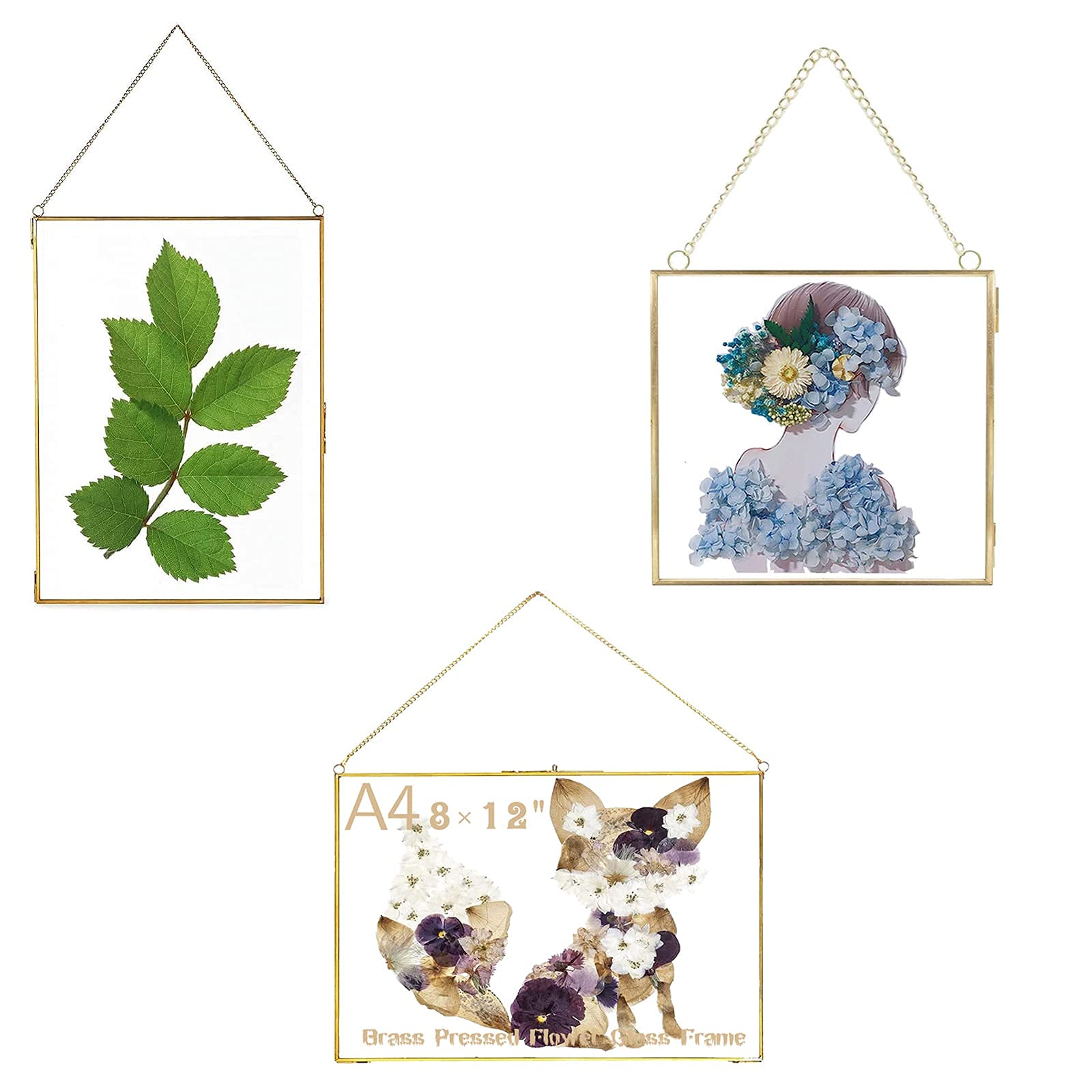 Premium Glass Photo Frame for Dried Flowers - Gold & Brass Pressed Flower Display Frame - DIY Wall Hanging Decor for Home, Wedding, or Gift - Plant Specimen & Geometric Art Display