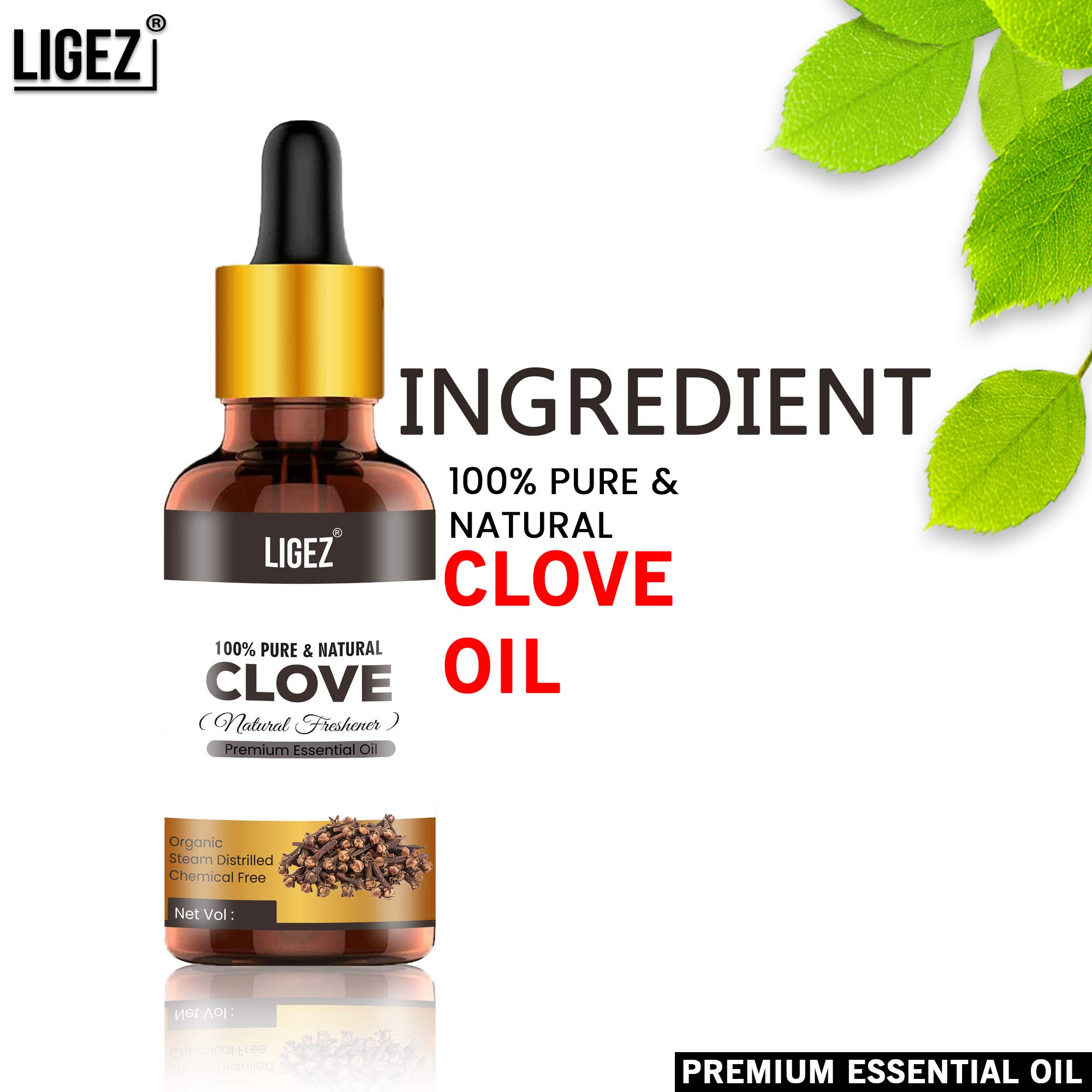 100% Pure Natural Clove Essential Oil for Hair Growth, Acne Treatment, Toothache Relief & Aromatherapy - 10ml Bottle for Diffusers, Massage & DIY Skincare