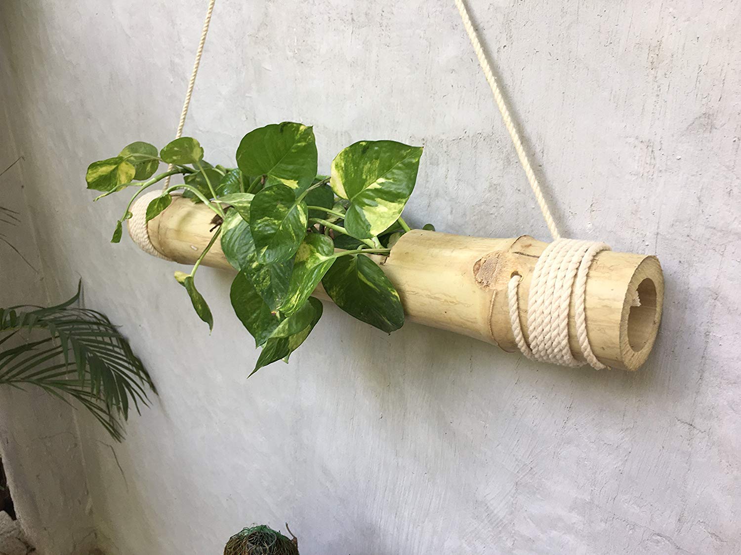 Hanging Bamboo Planters with Adjustable Rope - Natural Bamboo Stand & Pot for Indoor Plants - Perfect for Home Decor, Balcony, and Garden - Pack of 1