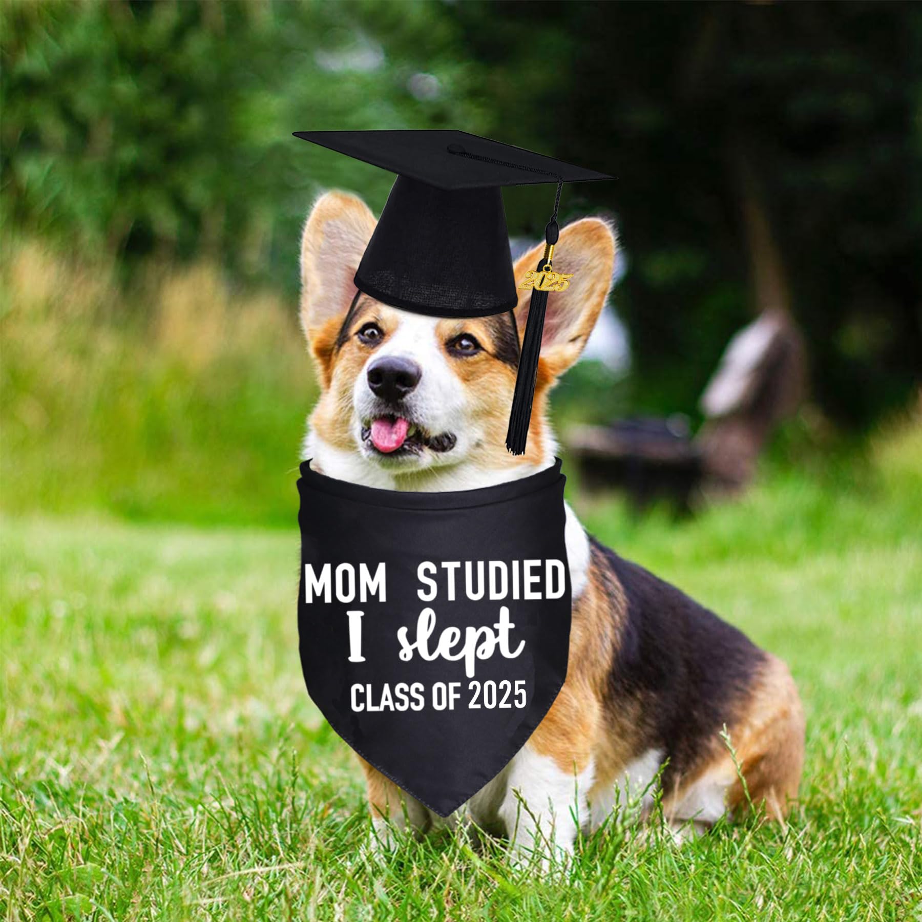 2025 Dog Graduation Cap & Bandana Set with Black Tassel - Pet Graduation Outfit for Small Medium Large Dogs - Perfect for Graduation Ceremonies, Photo Shoots & Gift Giving
