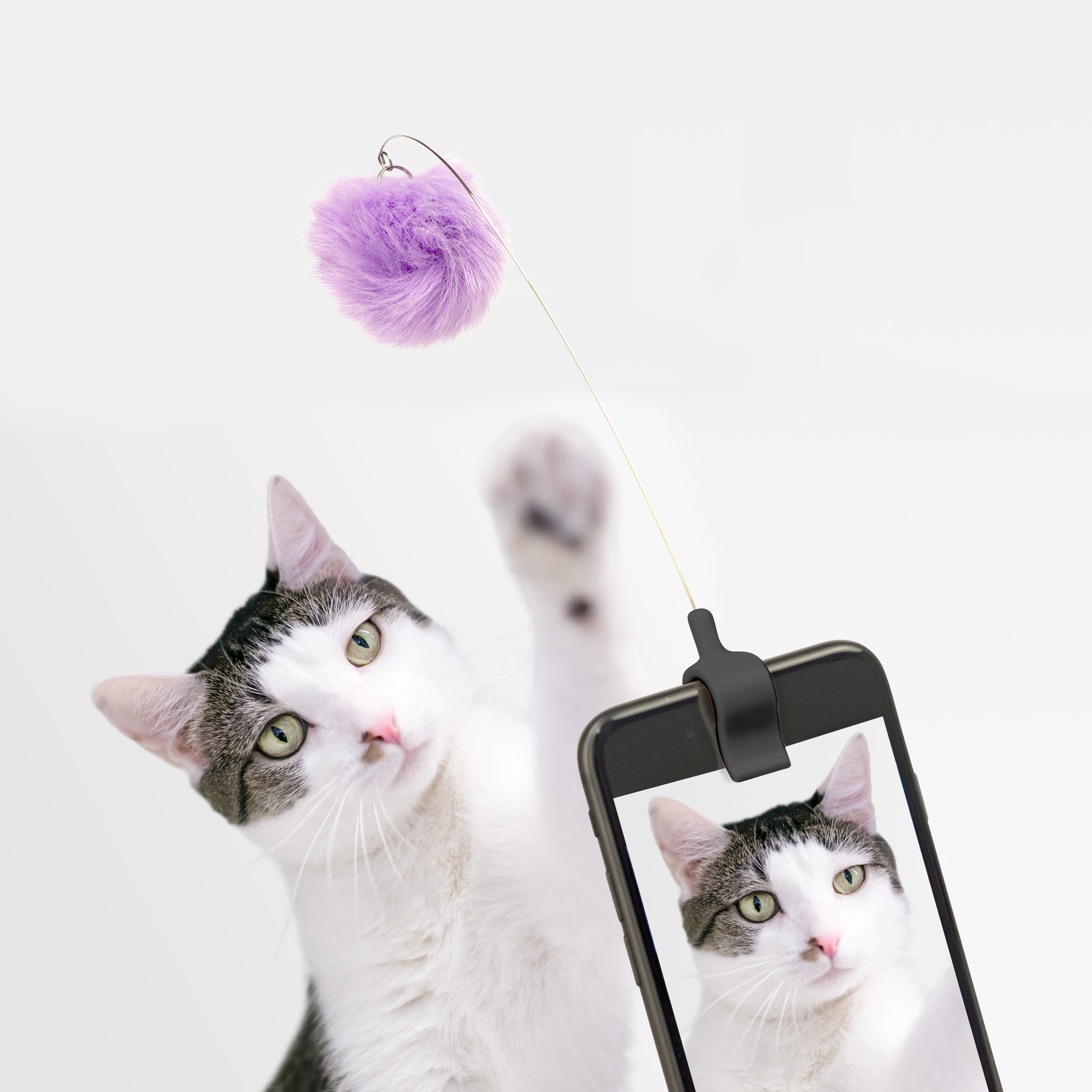 Cute Kitty Phone Holder Clip - Adorable Cat Design Phone Grip Stand for iPhone Samsung - Perfect for Selfies, Videos & Hands-Free Use at Home, Office or Travel