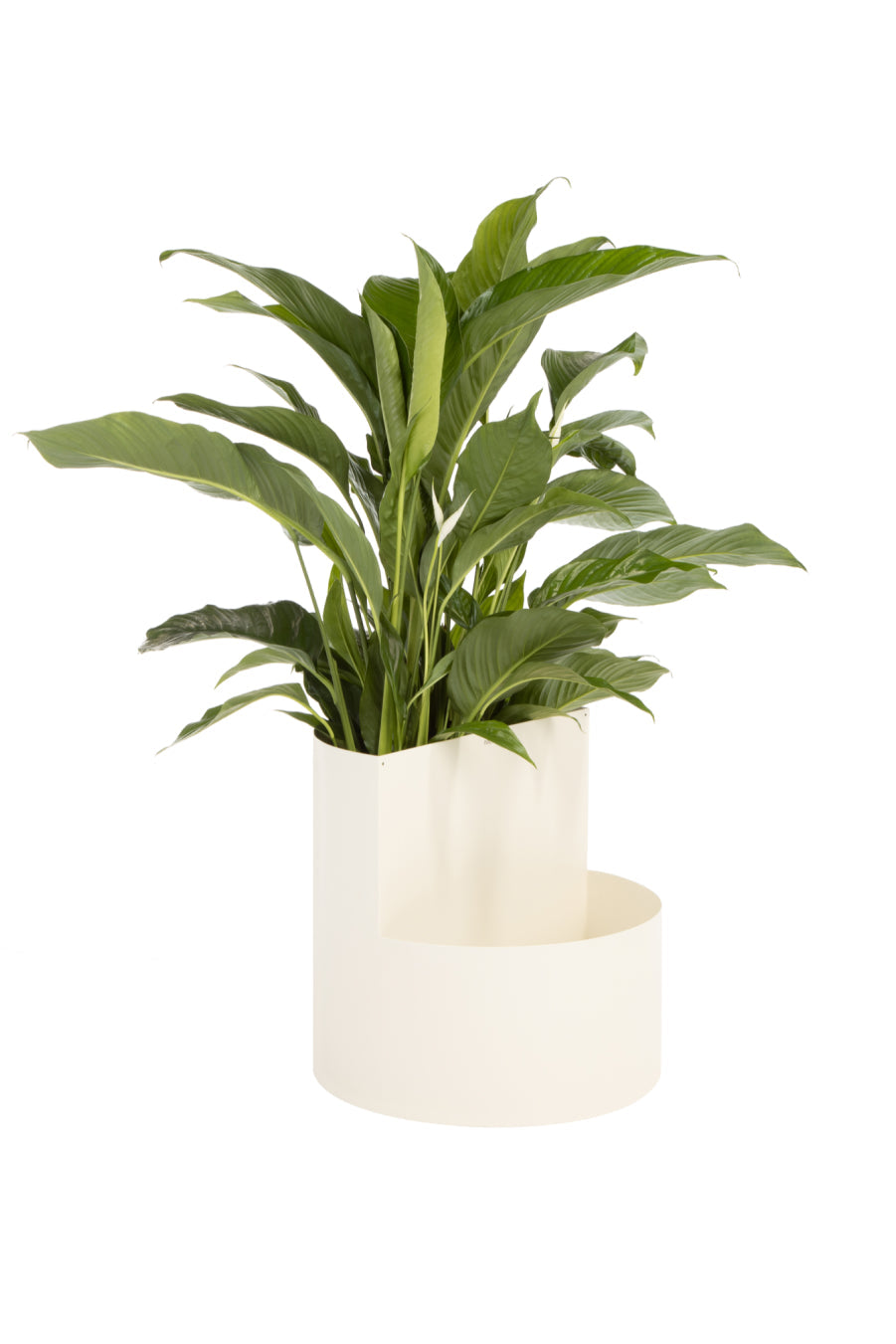 Owal Piazza Plant Pot - Modern Indoor Flower Pot for Home Decor, Office Desk, and Garden - Perfect for Succulents, Herbs, and Small Plants