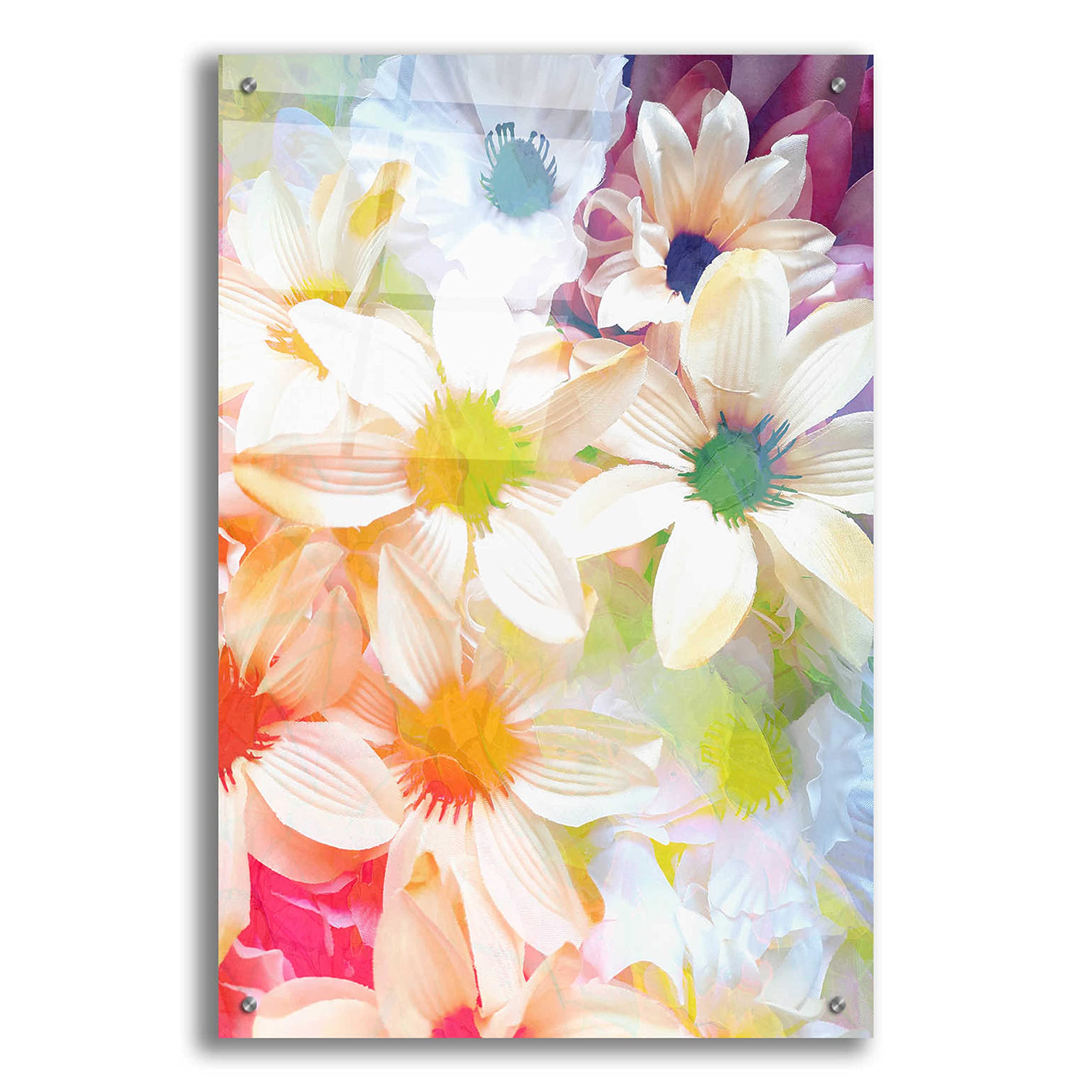 Epic Art 'Summer Days' by Shandra Smith - 24x36 Inch Acrylic Glass Wall Art - Vibrant Modern Home Decor for Living Room, Bedroom & Office