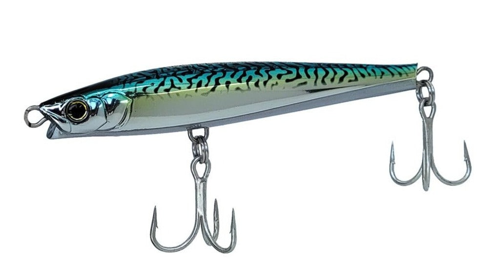 Sardine