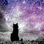 Cat Sparkle Star
