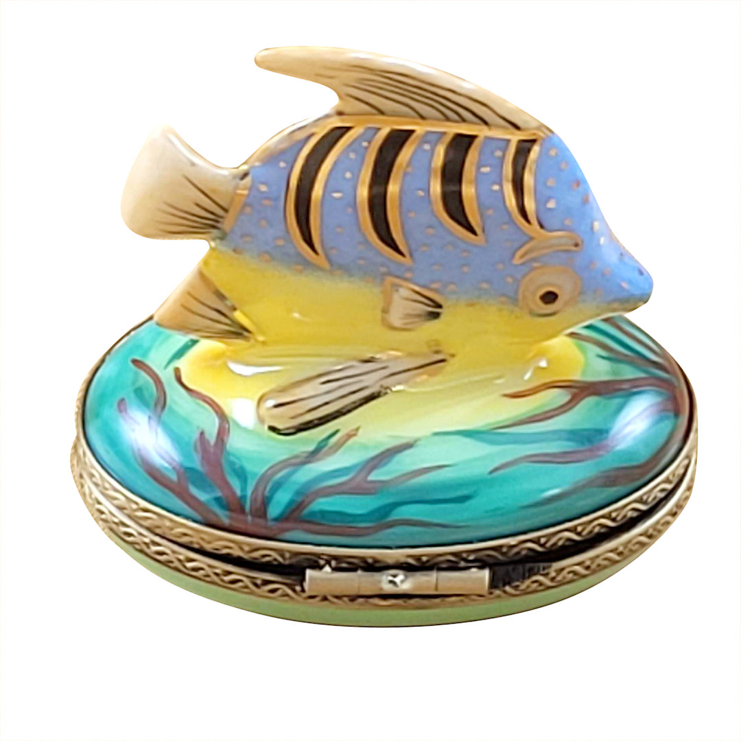 Exquisite Tropical Fish Limoges Porcelain Box - Hand-Painted Collectible Trinket Jewelry Storage - Perfect for Home Décor & Gift Giving