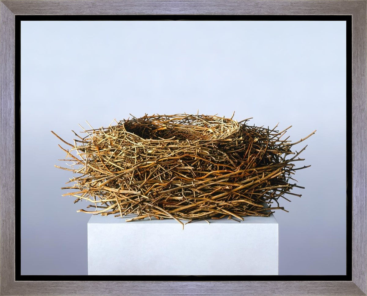 Nest Gallery Wrap Canvas - High-Quality Stretched Canvas Art for Home & Office Decor - Perfect for Living Room, Bedroom, and Office Wall Decor
