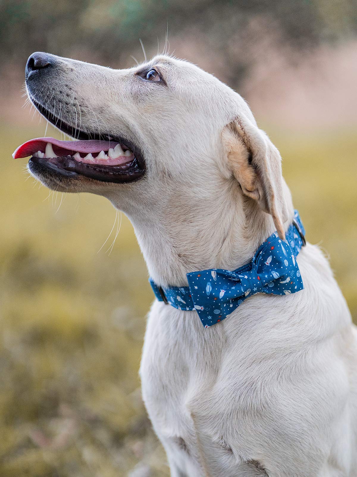 Elegant Bow Tie Dog Collar with Adjustable Cotton & Webbing - Perfect for Small, Medium & Large Dogs | Wedding, Party & Daily Walk Accessories
