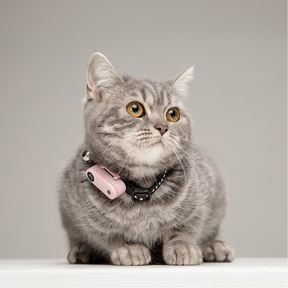 Mini Cat Ultrasound Tick & Flea Repeller - Safe & Effective Pest Control for Cats | Indoor & Outdoor Use for Home, Yard & Travel