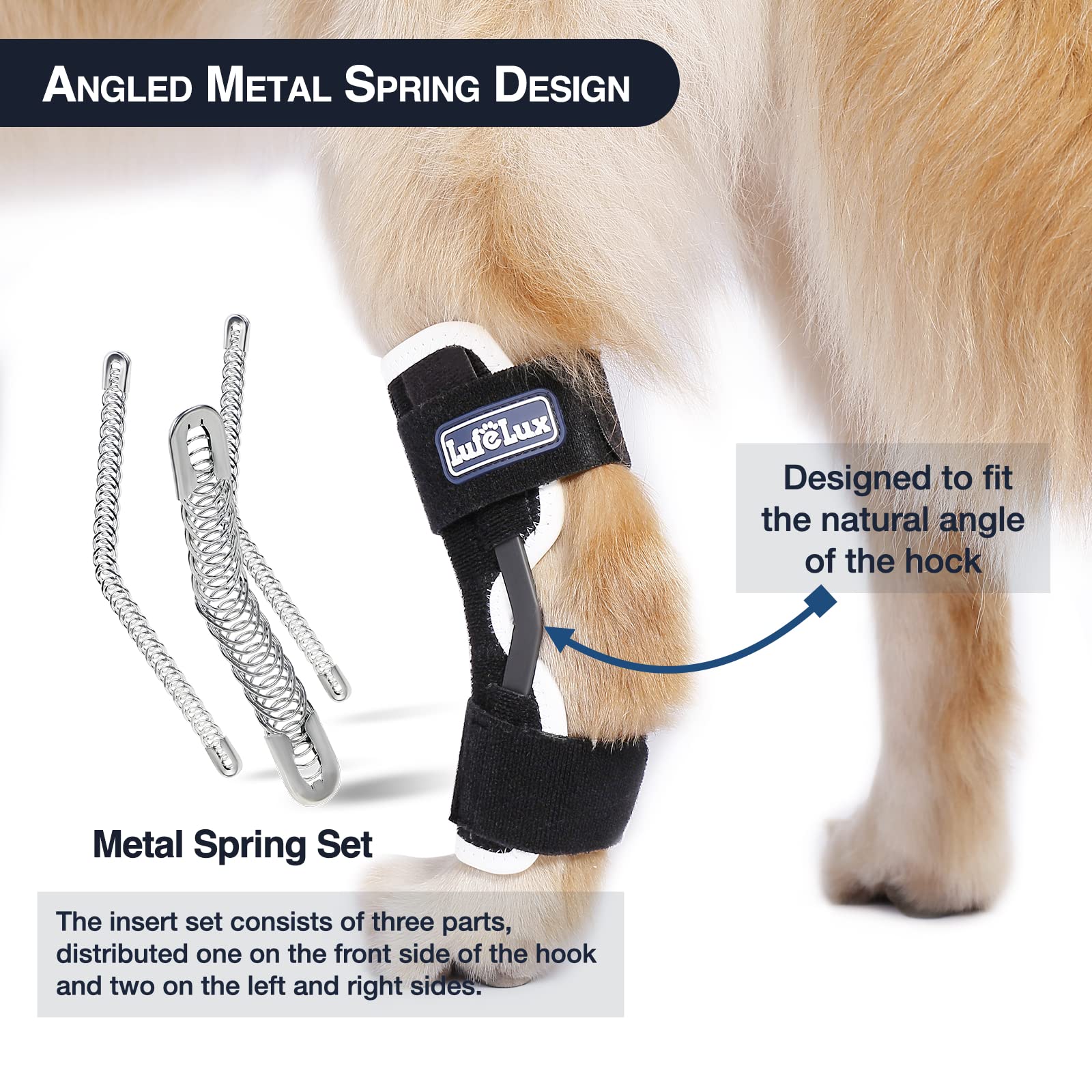 Dog Leg Braces for Back Leg Support - Adjustable Hock Joint Brace with 3 Metal Springs for Dogs with Fractures, Sprains & Arthritis (X-Large) - Ideal for Post-Surgery Recovery, Mobility Aid & Injury Prevention