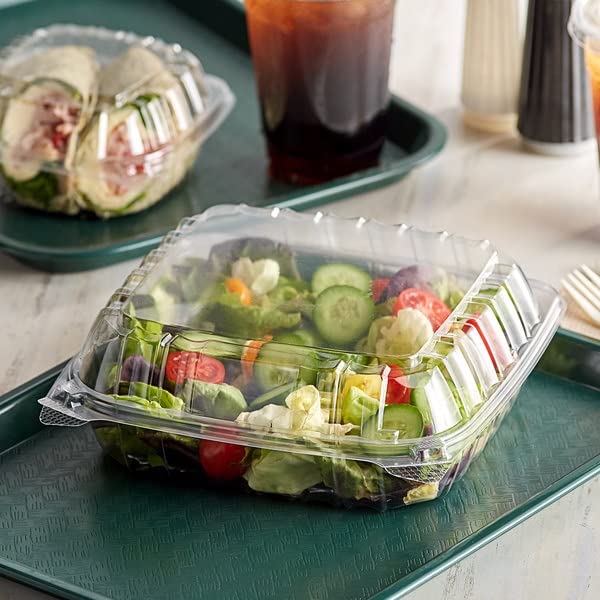 Nicole Fantini 8-Inch Clear Plastic Clamshell Containers with Hinged Lids - 250 Pack | Perfect for Takeout Food, Sandwiches, Cakes, Salads & Meal Prep | Ideal for Restaurants, Catering, Bakery & Food Delivery Services
