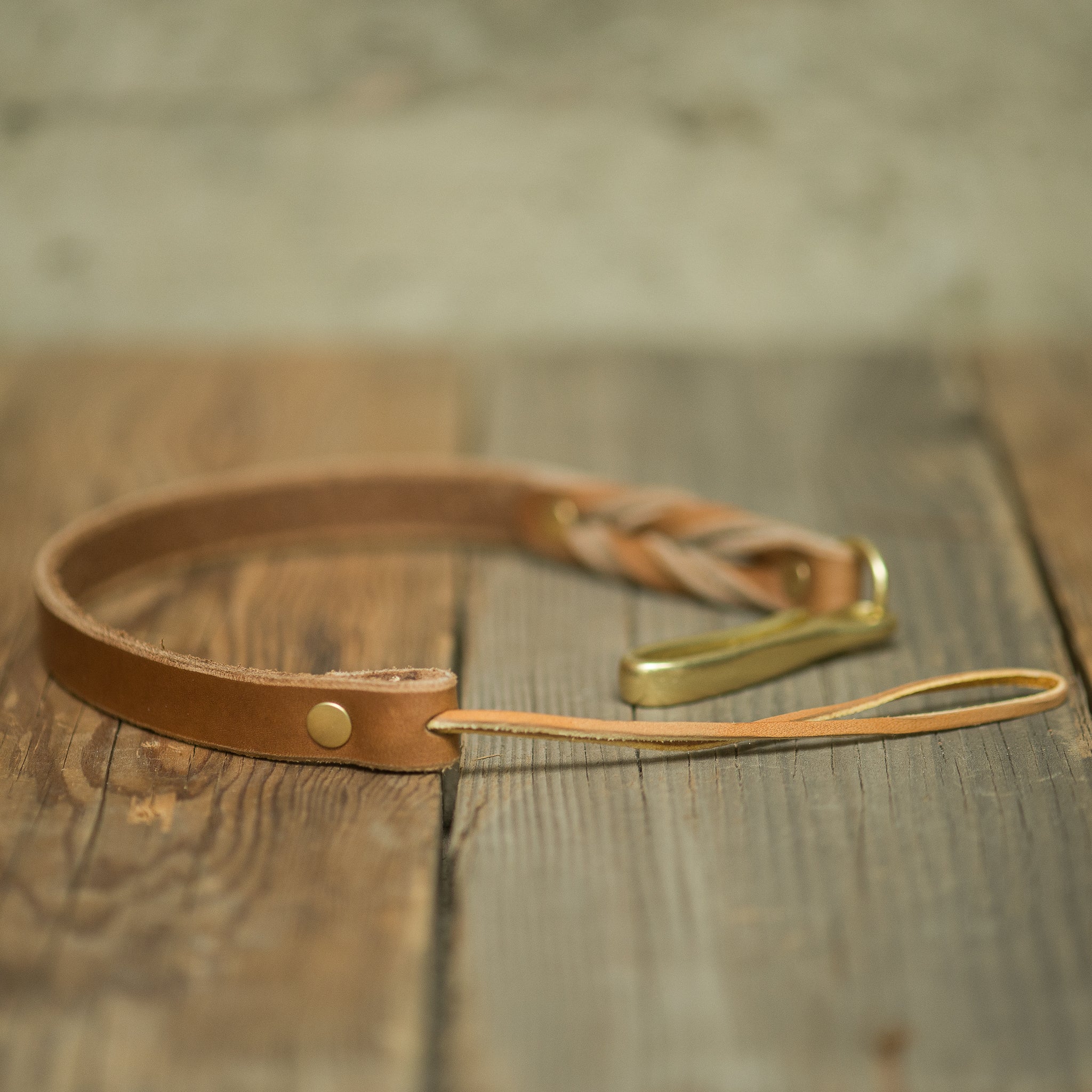 Arlo Tether Rio Latigo - Durable Dog Leash for Training & Walking | Perfect for Outdoor Adventures & Daily Walks