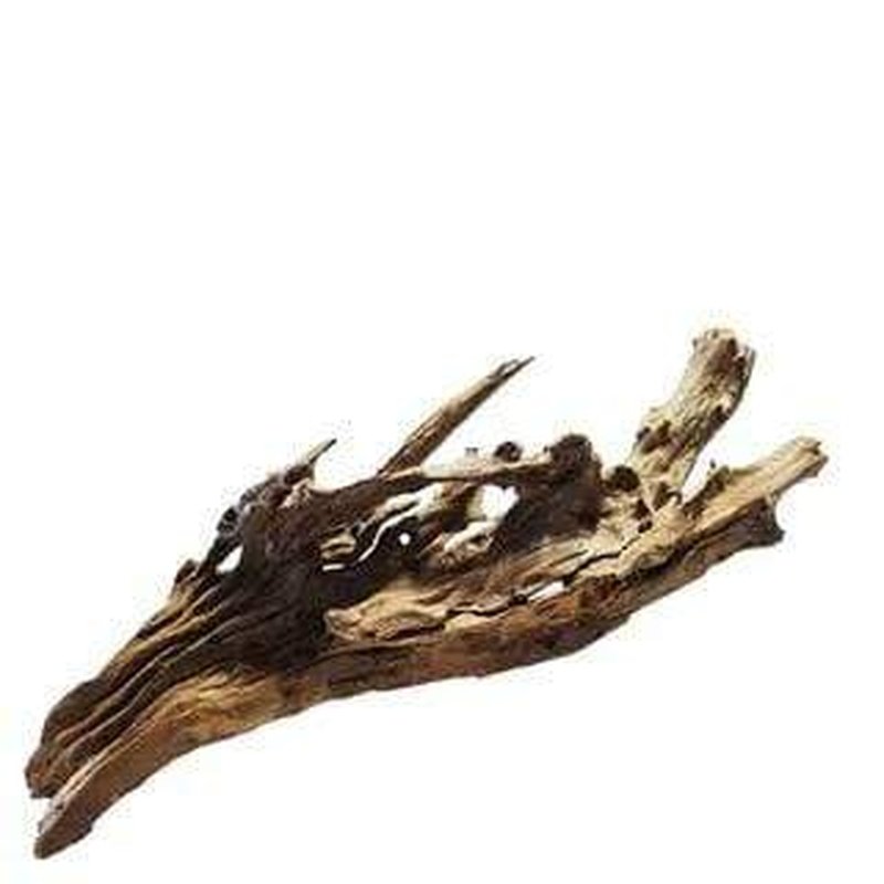 Aqua Natural Mekong River Driftwood for Aquarium - Decorative Fish Tank Wood for Shrimp, Betta & Tropical Fish - Perfect for Aquascaping & Natural Habitat Setup