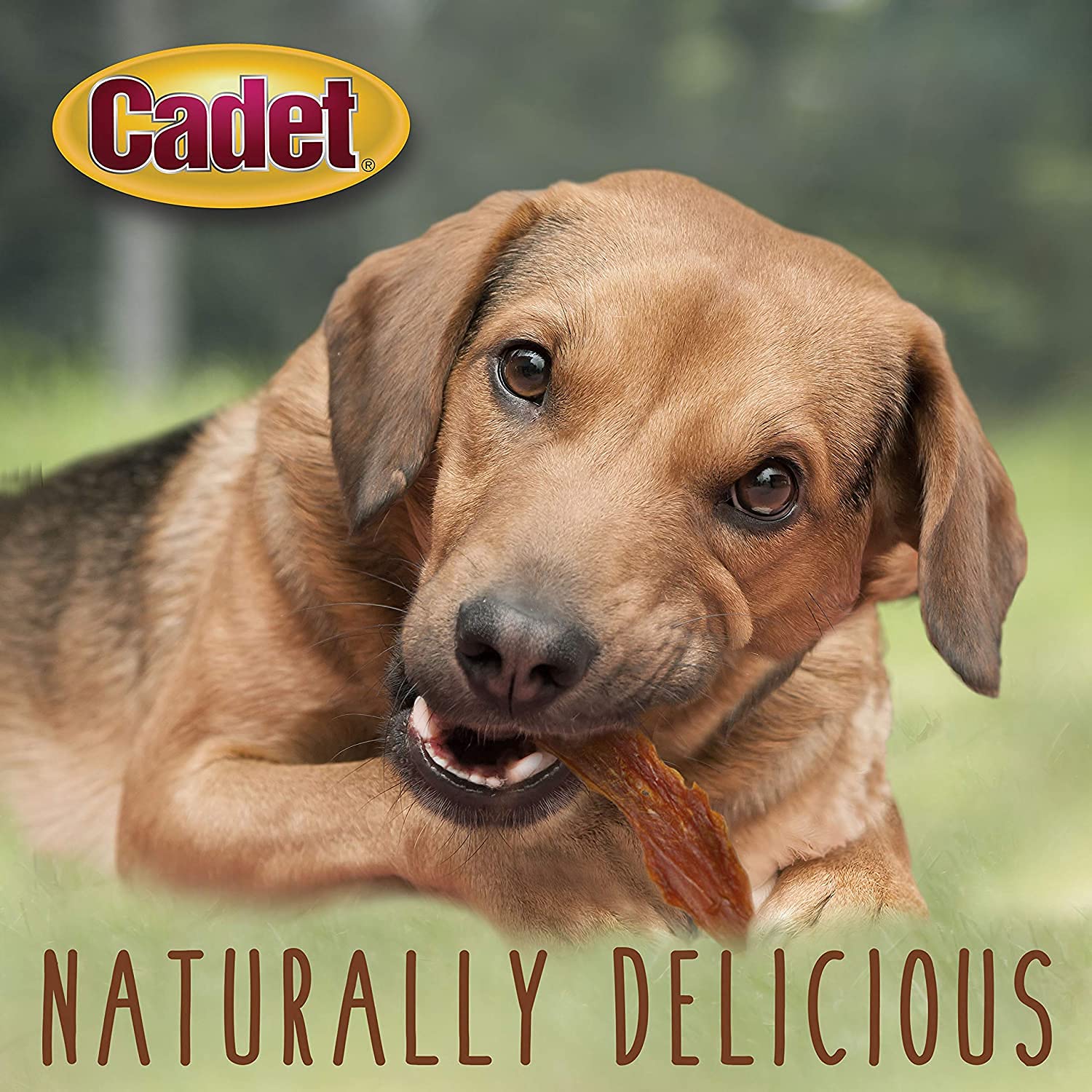 Premium Cadet Duck Breast Gourmet Dog Treats - 2 Pack | All-Natural, High-Protein Training Snacks for Dogs | Includes Exclusive 