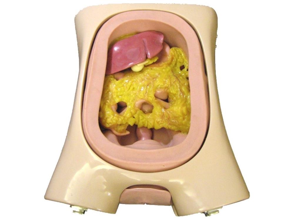 EndoSurgical Laparoscopic Surgery Simulator - Professional Medical Training Equipment for Surgeons | Practice Minimally Invasive Techniques | Ideal for Medical Schools & Residency Programs