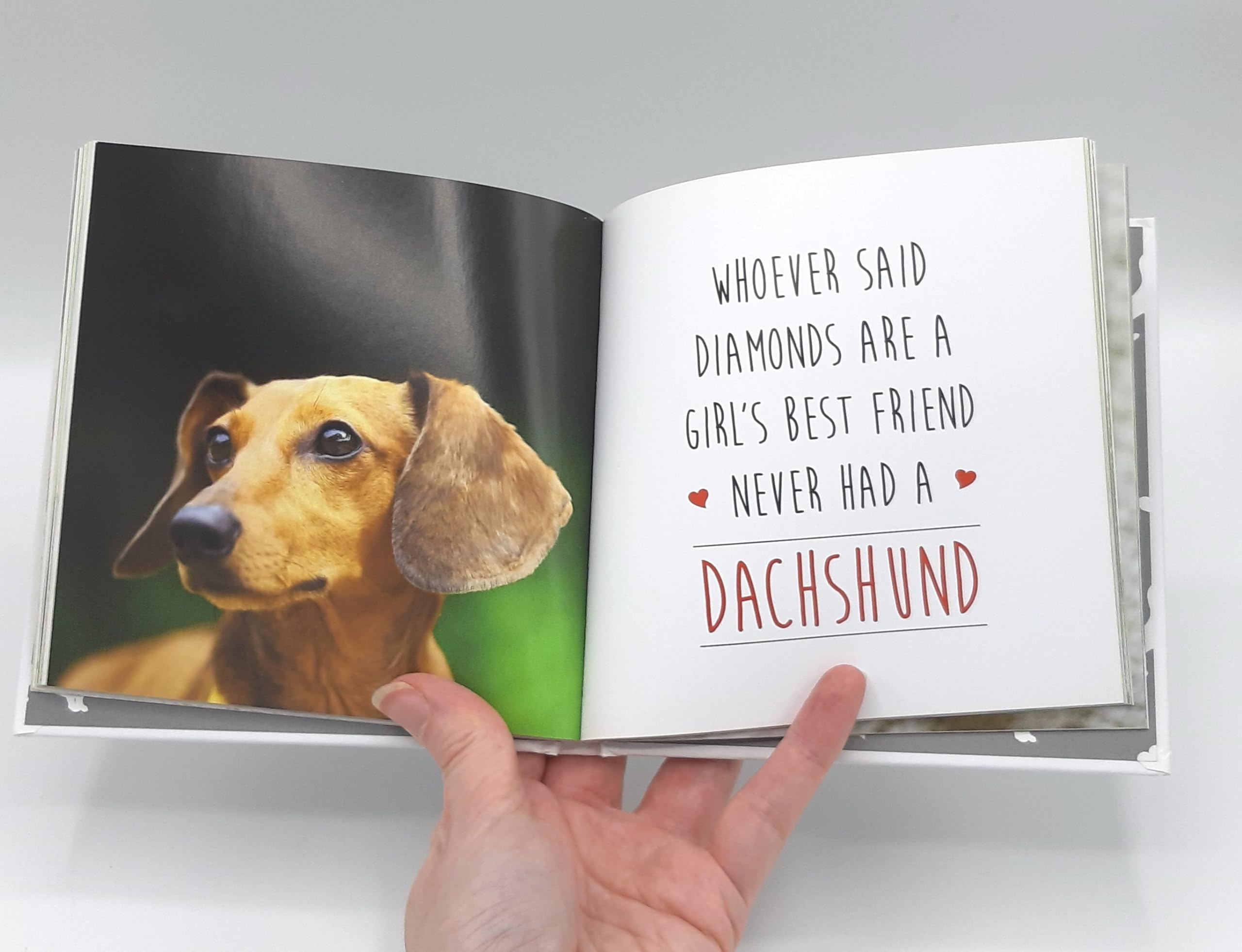 Adorable Dachshund Love Themed Gifts - Perfect for Valentine's Day, Anniversaries & Dog Lovers