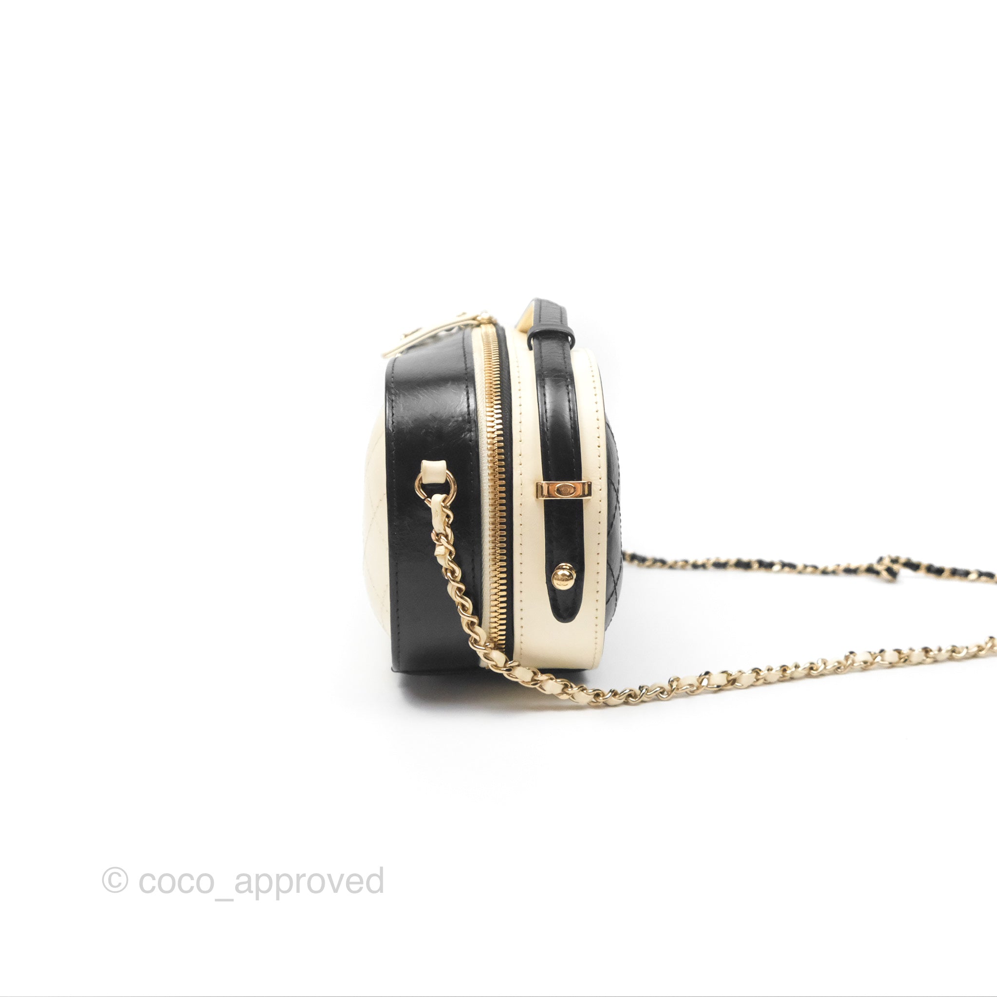 Chanel Camera Case Bag in Black & White Calfskin with Gold Hardware - Perfect for Everyday Luxury & Travel Accessories