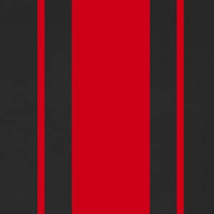Rally Stripe Red / Black