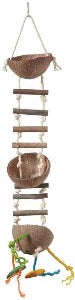 Premium Coconut Feeder for Birds - Durable & Easy to Clean - Attract Wild Birds to Your Garden - Perfect for Backyard Bird Watching & Nature Lovers