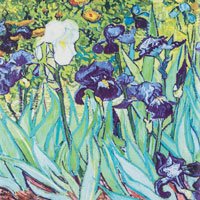 01 Irises