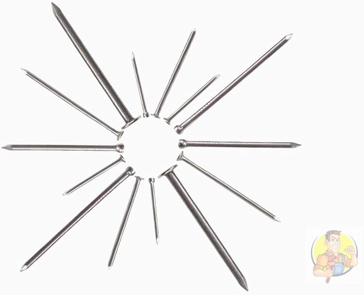 DIY DIYC-12343 Heavy Duty Picture Hanging Nails Kit - 300 Pcs Durable Hardware Nails for Wall Decor, Photo Frames & Home Improvement Projects