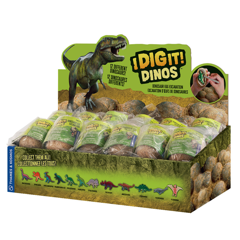 Dino Egg Excavation Kit - 24 Piece Dinosaur Dig Set for Kids - Educational STEM Toy for Fossil Discovery - Perfect for Birthday Parties & Classroom Activities